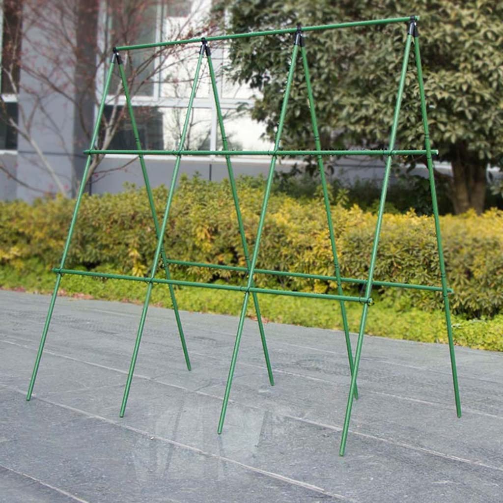 10 szt. Tomato Cas Wsparcie dla roślin kes 120 cm kratka ogrodowa do cielęciny pnące rośliny weterynaryjne kwiaty owoce winorośle i łatwy montaż