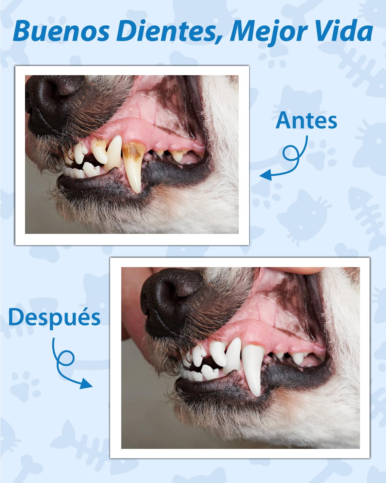 Kit de Limpieza de Sarro Dental Ultrasónico para Perros y Gatos, Detartrador Cepillos Ultrasónicos de Dientes Quita Manchas Limpiador, 5 Modos de Limpieza de Limpieza para Mascotas (Negro)