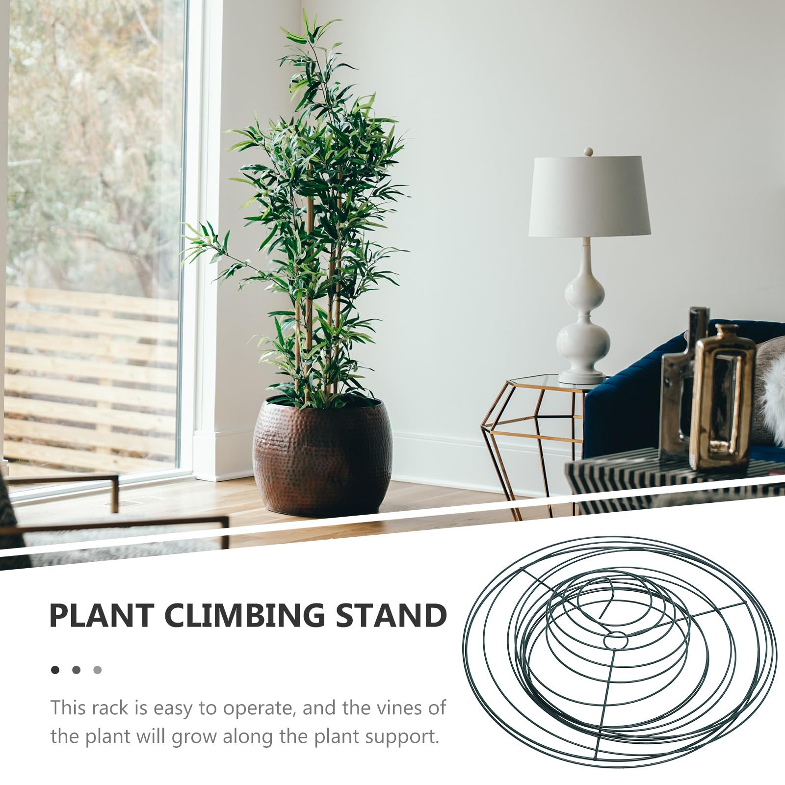 Tuteurs Spirales pour Plantes, Lot de 2, Acier Inoxydable, Réutilisables