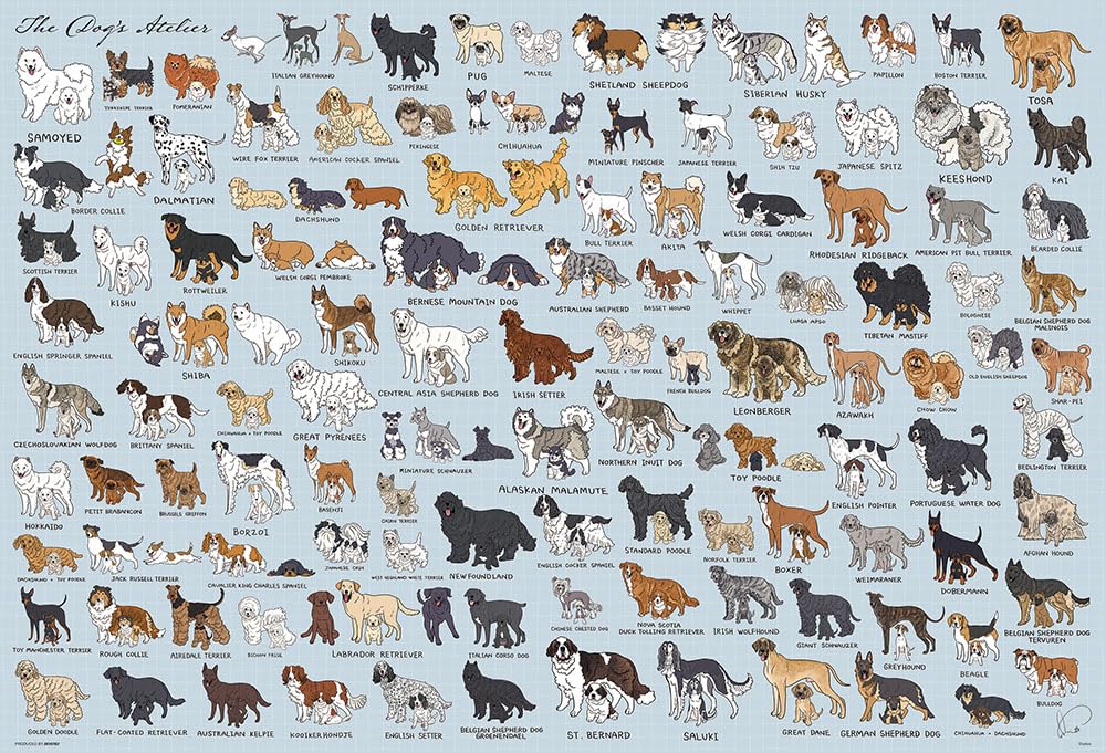 Amazon | 【日本製】ビバリー 1000ピース ジグソーパズル The Dog's