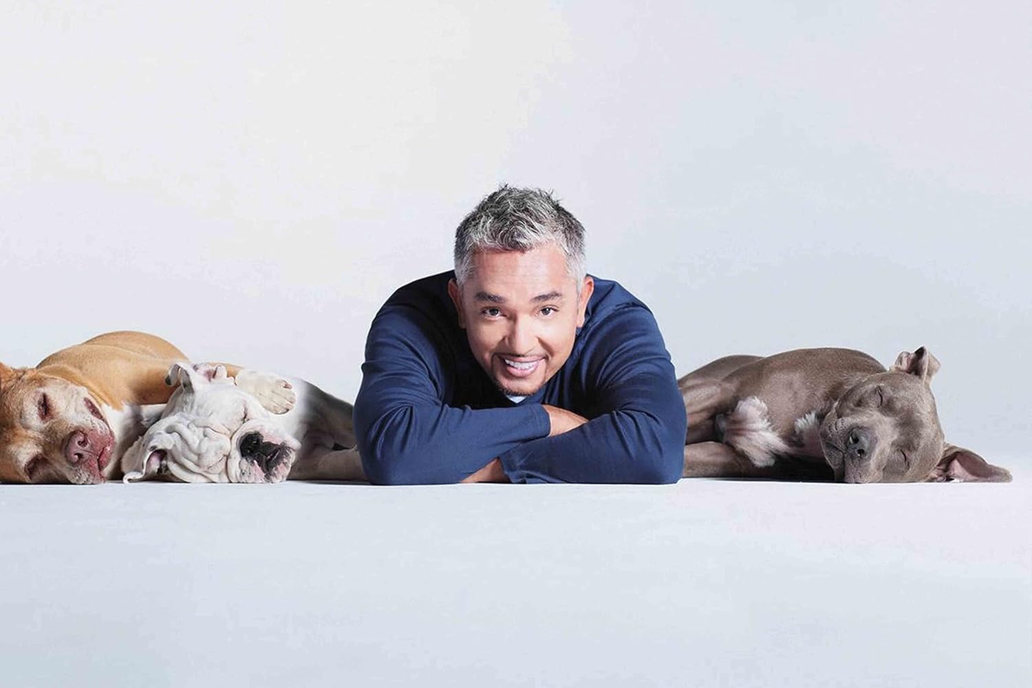 A Famous Dog Trainer