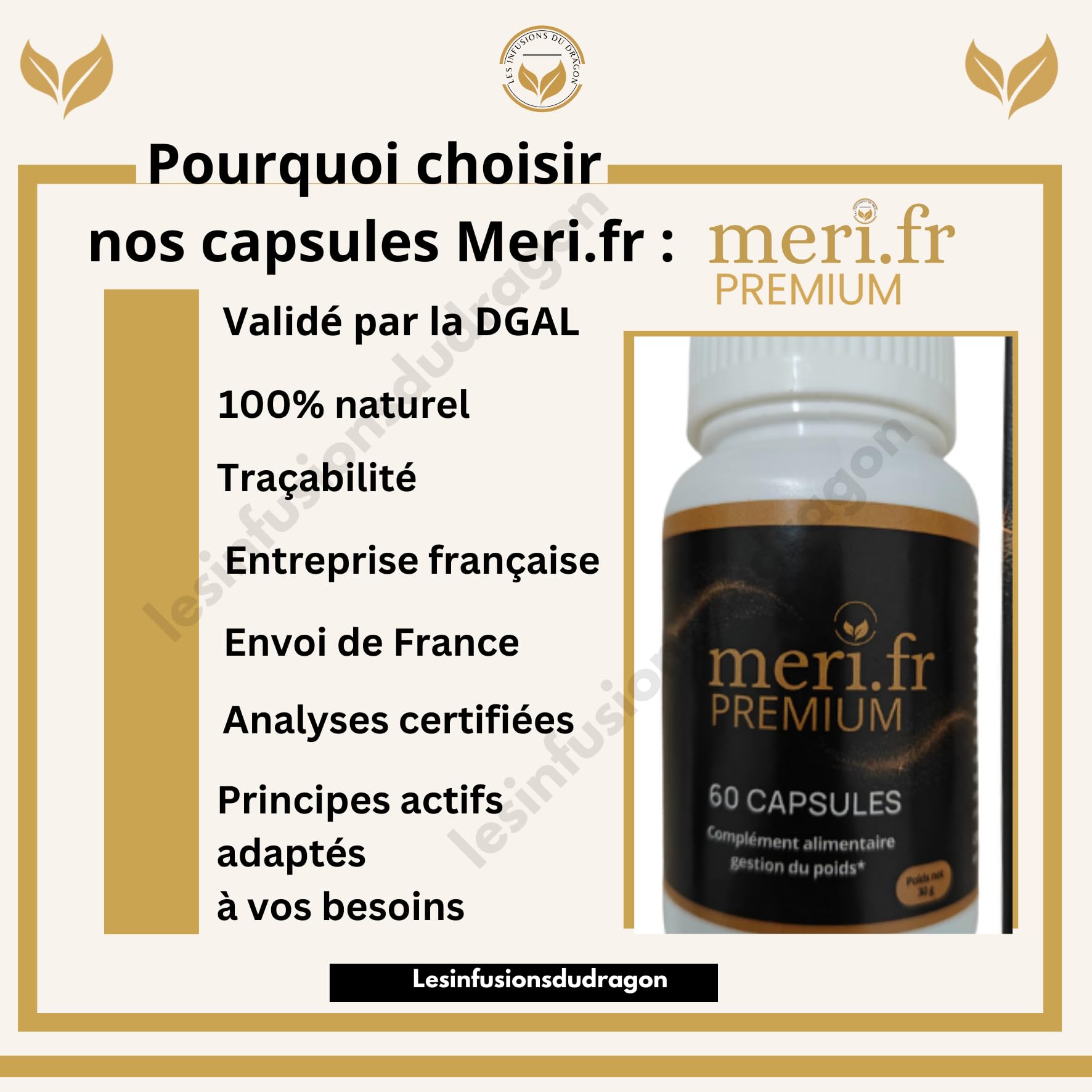 Meri.fr PREMIUM – Nouvelle Formule Efficace à la L-Carnitine | 60 Gélules Naturelles | Aide au Contrôle de l’Appétit & Métabolisme des Graisses | Expédié depuis la France
