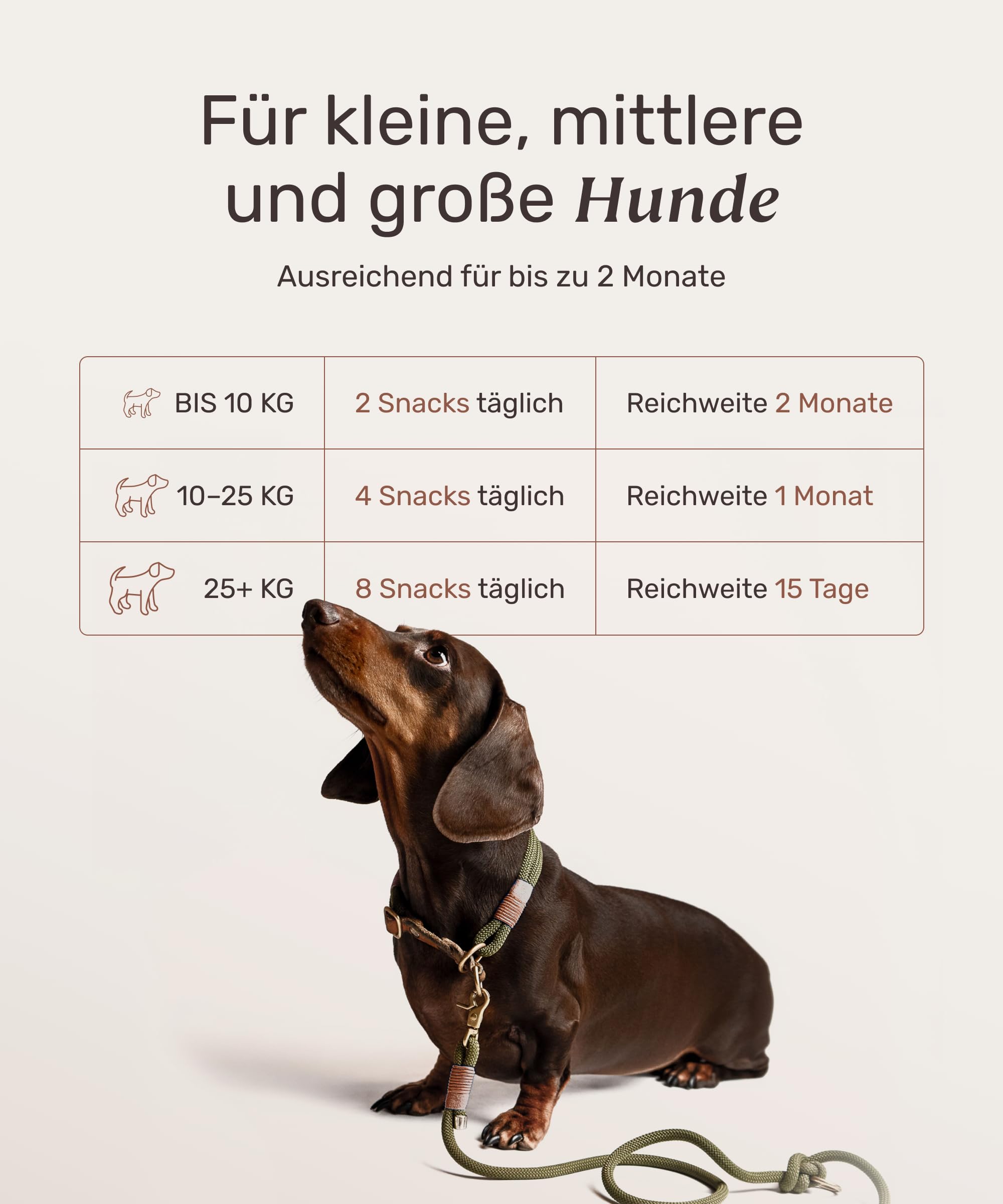 9 in 1 Analdrüsen Leckerli für Hunde mit Ballaststoffen - Easy Squeezy 120 Snacks (350g) von mammaly - gegen verstopfte Analdrüse - für festen KOT und natürliche Analdrüsenentleerung für deinen Hund