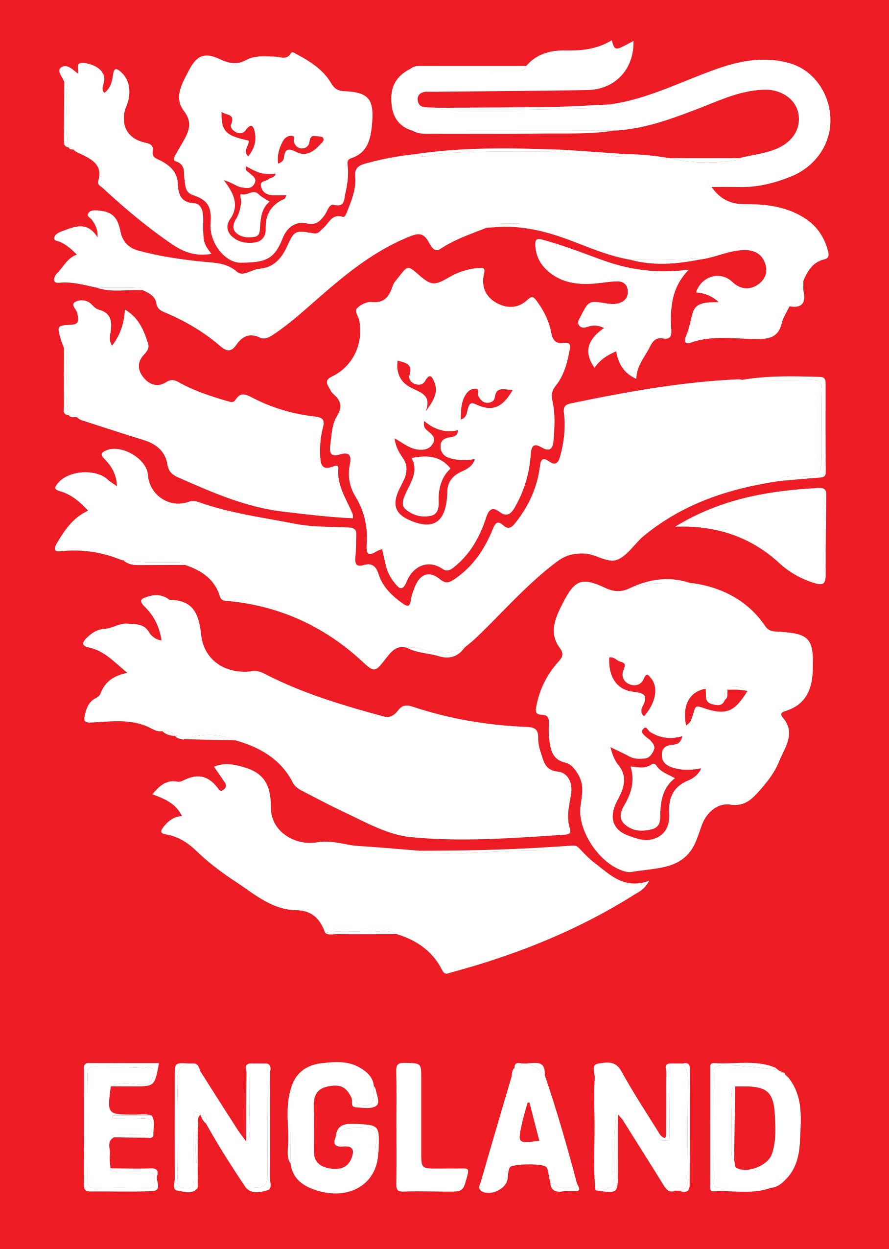England Three Lions England Bunting England 2024 (10 Meters)