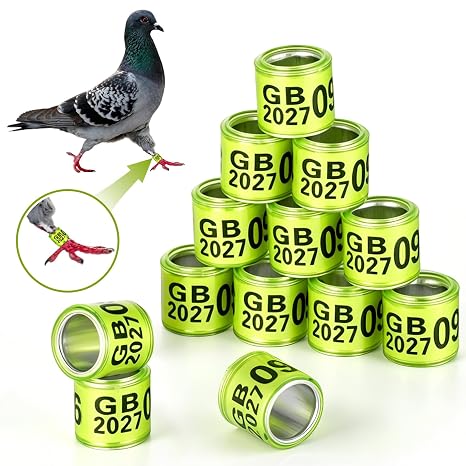 100Pcs Fluorescent Green Aluminium GB 2027 Pigeon Leg Rings Dove Leg Rings Identify Pigeon Bands with 2027 Training Identify Birds Foot Ring for Racing or Homing Pigeons, Parrots,Small Poultry
