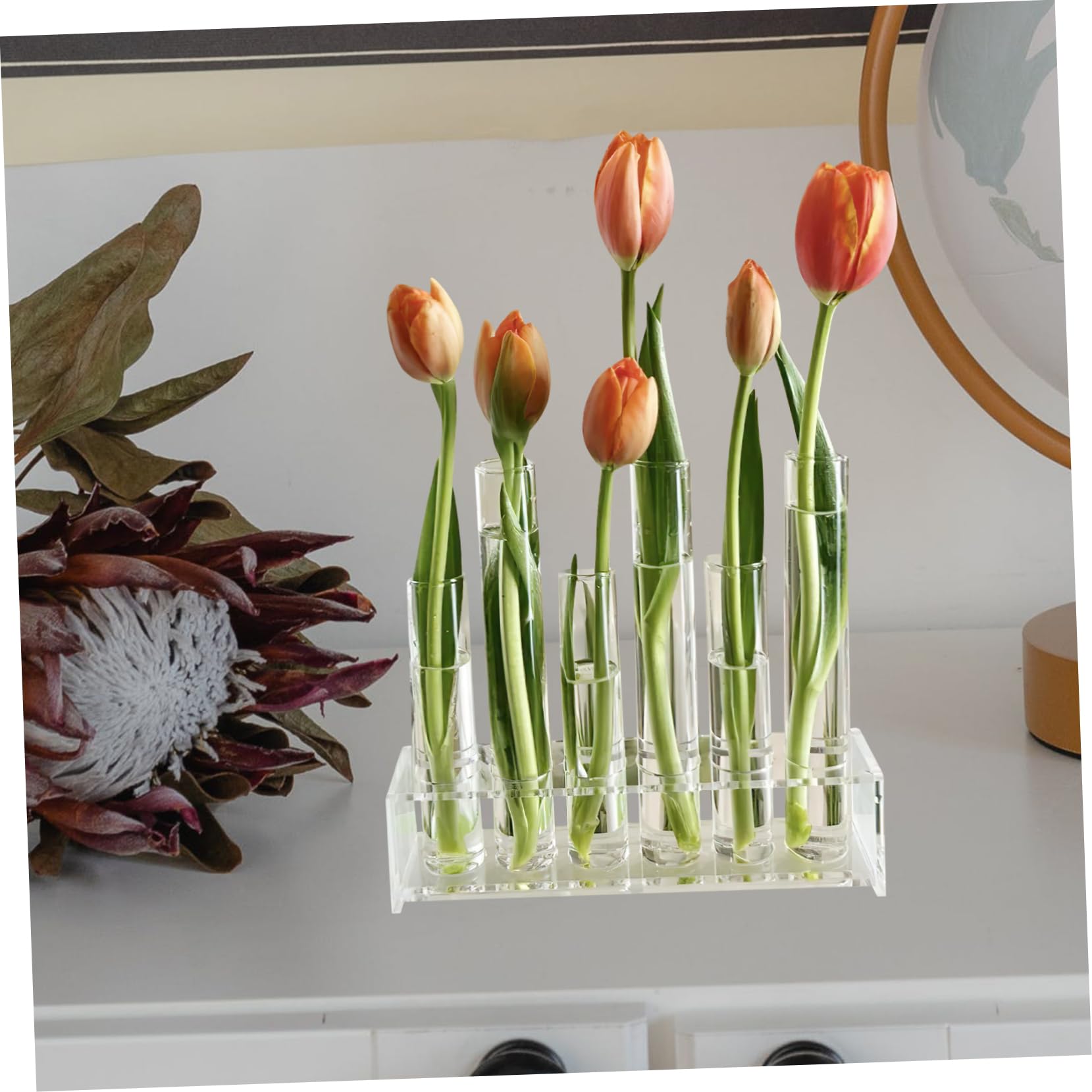 POPETPOP Tube à Essai Verre Transparent pour Plantes Hydroponiques pour Décors De Bureau Et Stations De Propagation Vase Décoratif