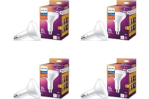 BR40 Ultra Definition Frosted Dimmable LED Light Bulbs