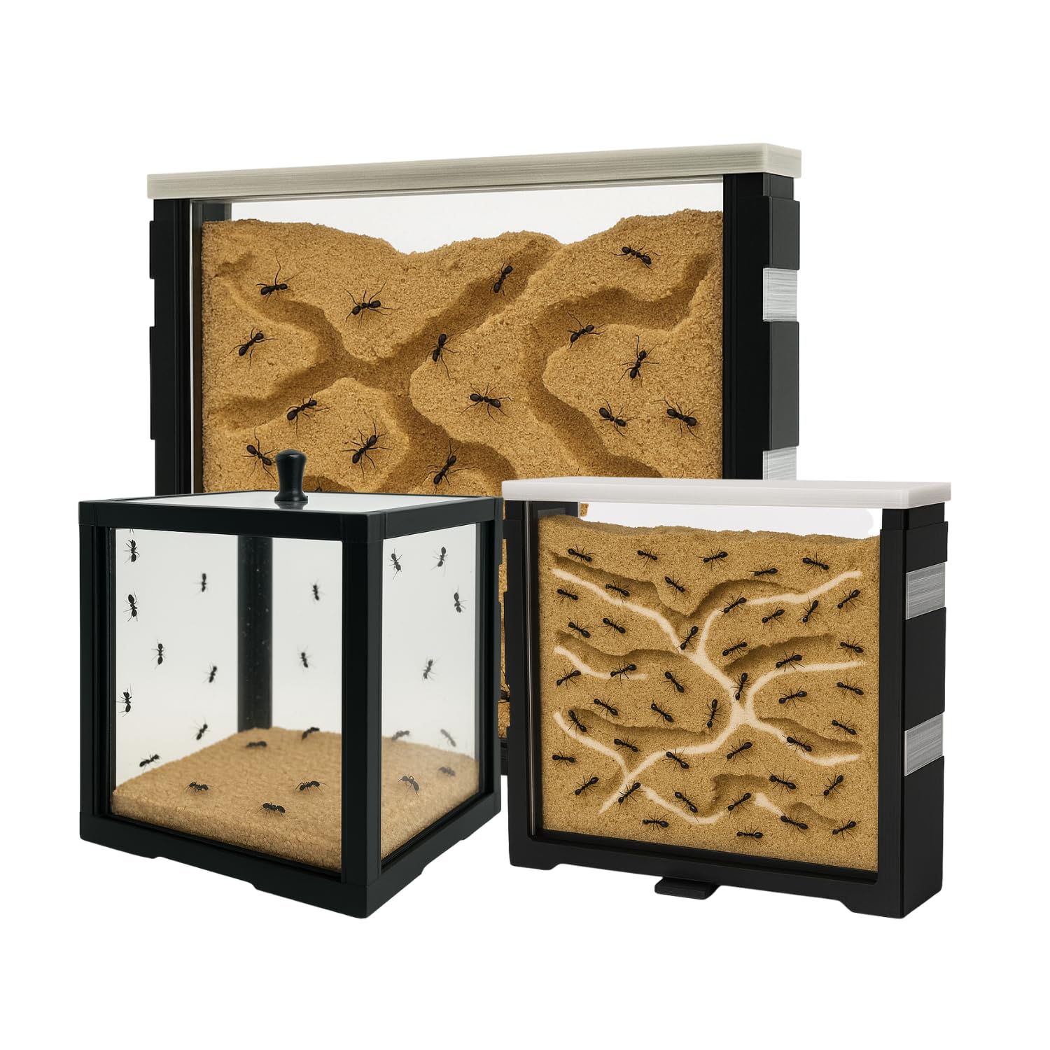 Ant-Shelter - Kit passionné fourmilière et Aire de Chasse pour Fourmis - Terrarium pour l'élevage des Fourmis - Fourmilières - Activités pour Enfants - Idées Cadeaux Enfants (Blanc)
