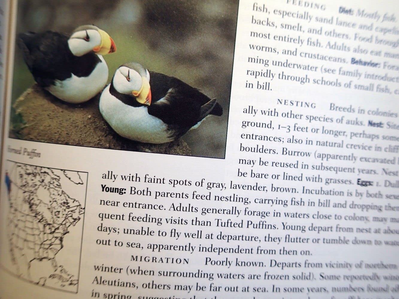 Lives of North American Birds (Peterson Natural History Companions) - Image 8