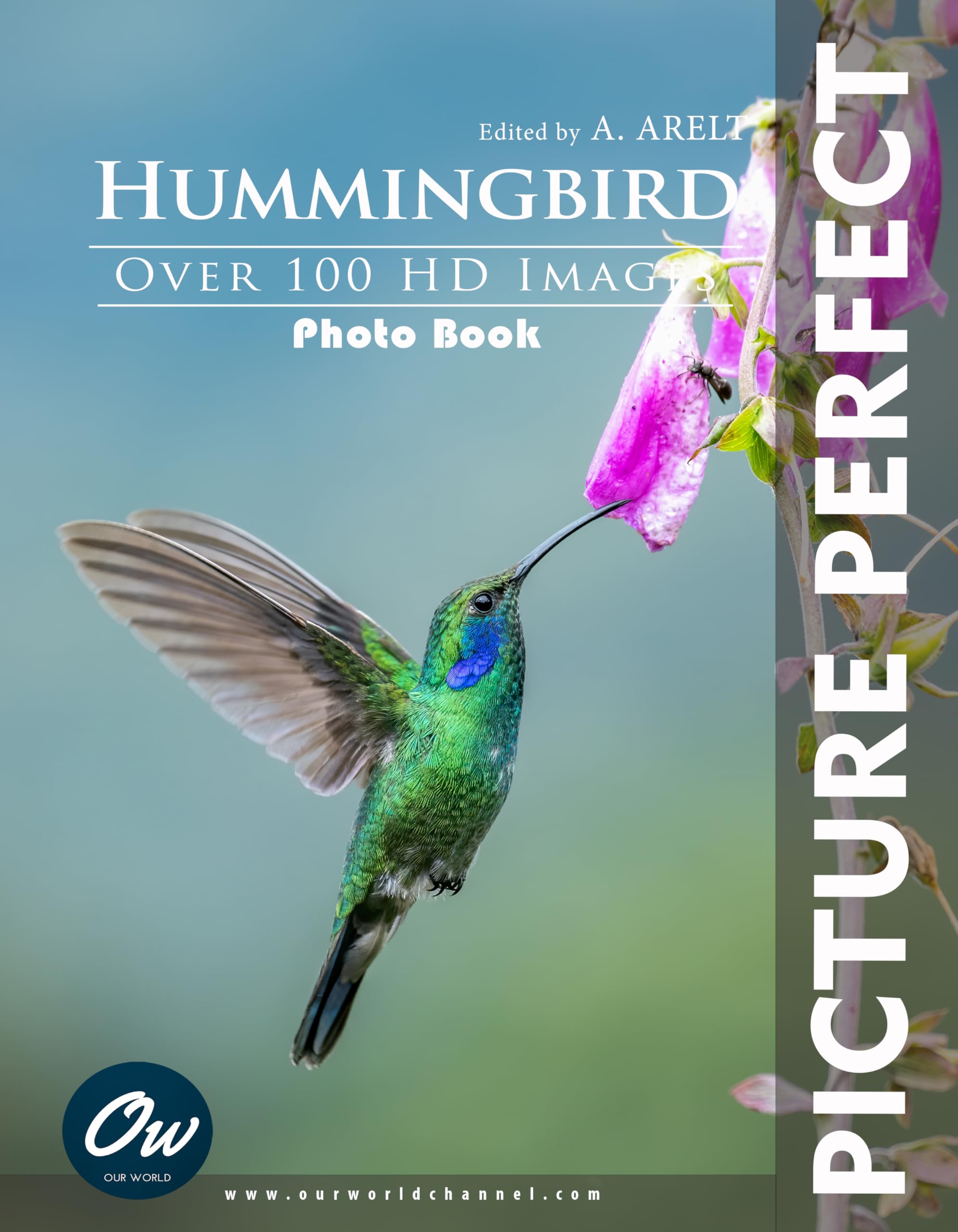 Hummingbird Picture Perfect Photo Book : l'émotion pure de la nature sauvage en images