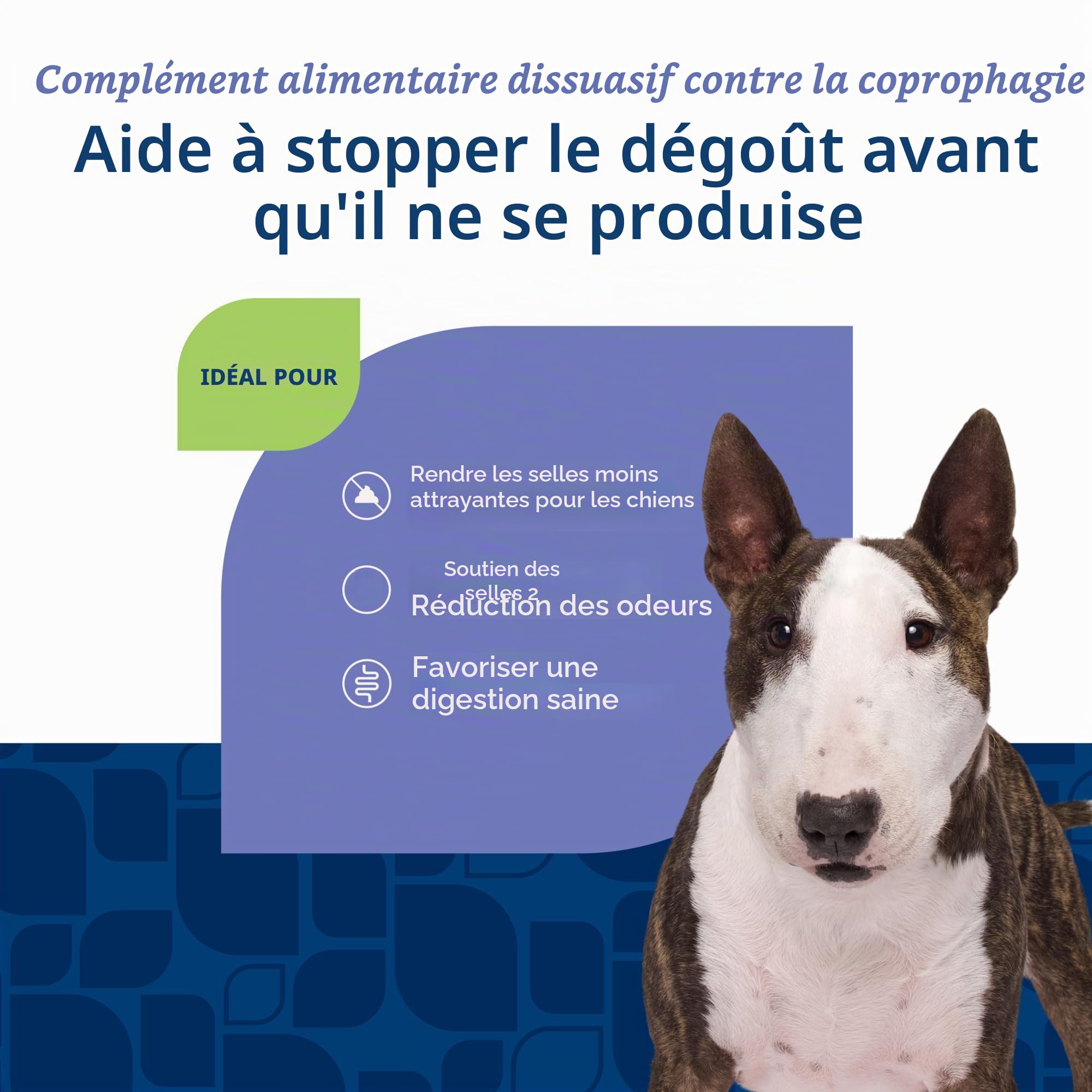 NaturVet – Coprophagia Selles dissuasif – Dissuade Les Chiens de consommer des selles – Pas de déjections Canines pour Chiens – Amélioré avec désodorisant pour Aides respiratoires, enzymes et