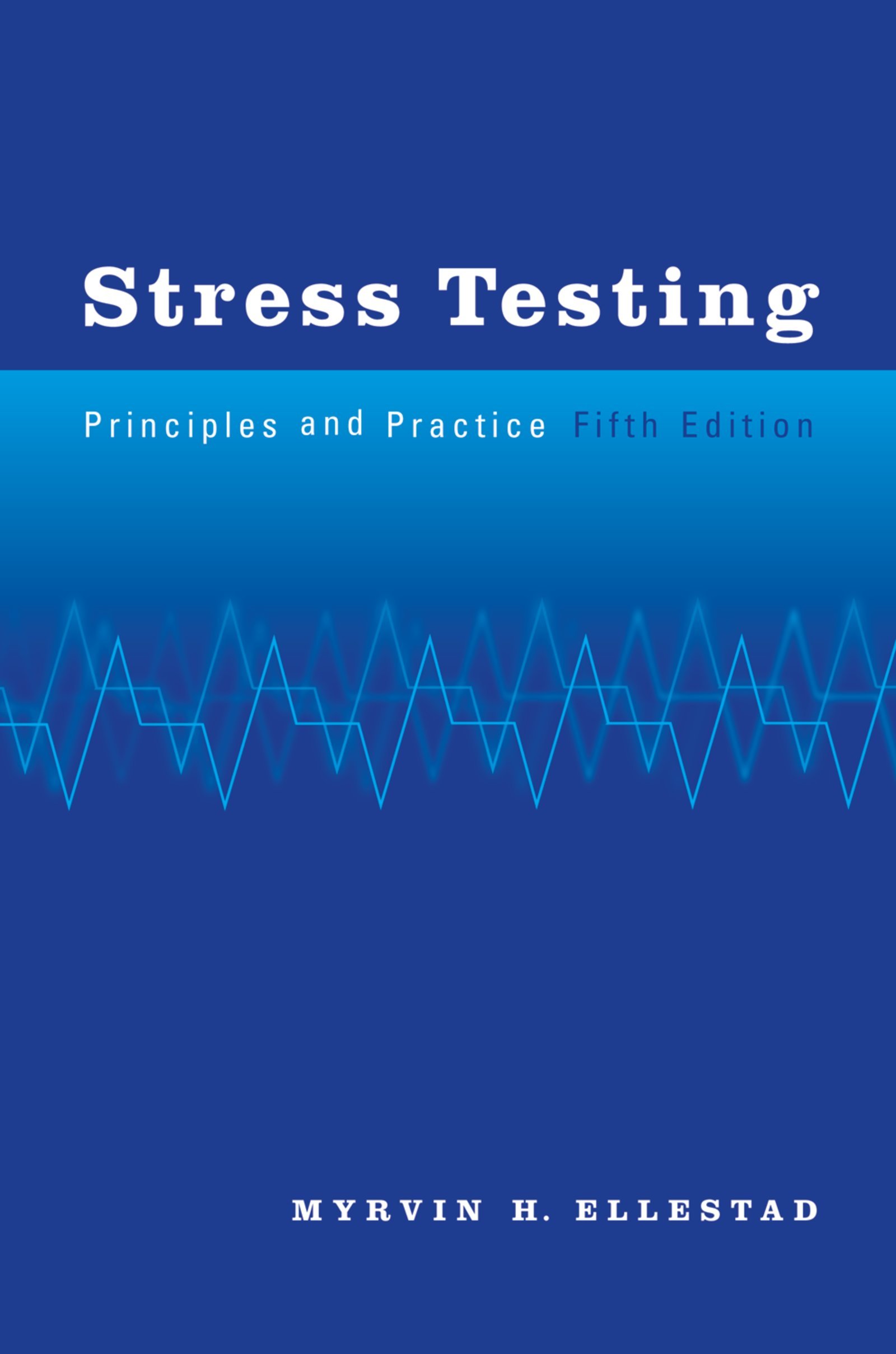 Stress Testing: Principles and Practice (English Edition)