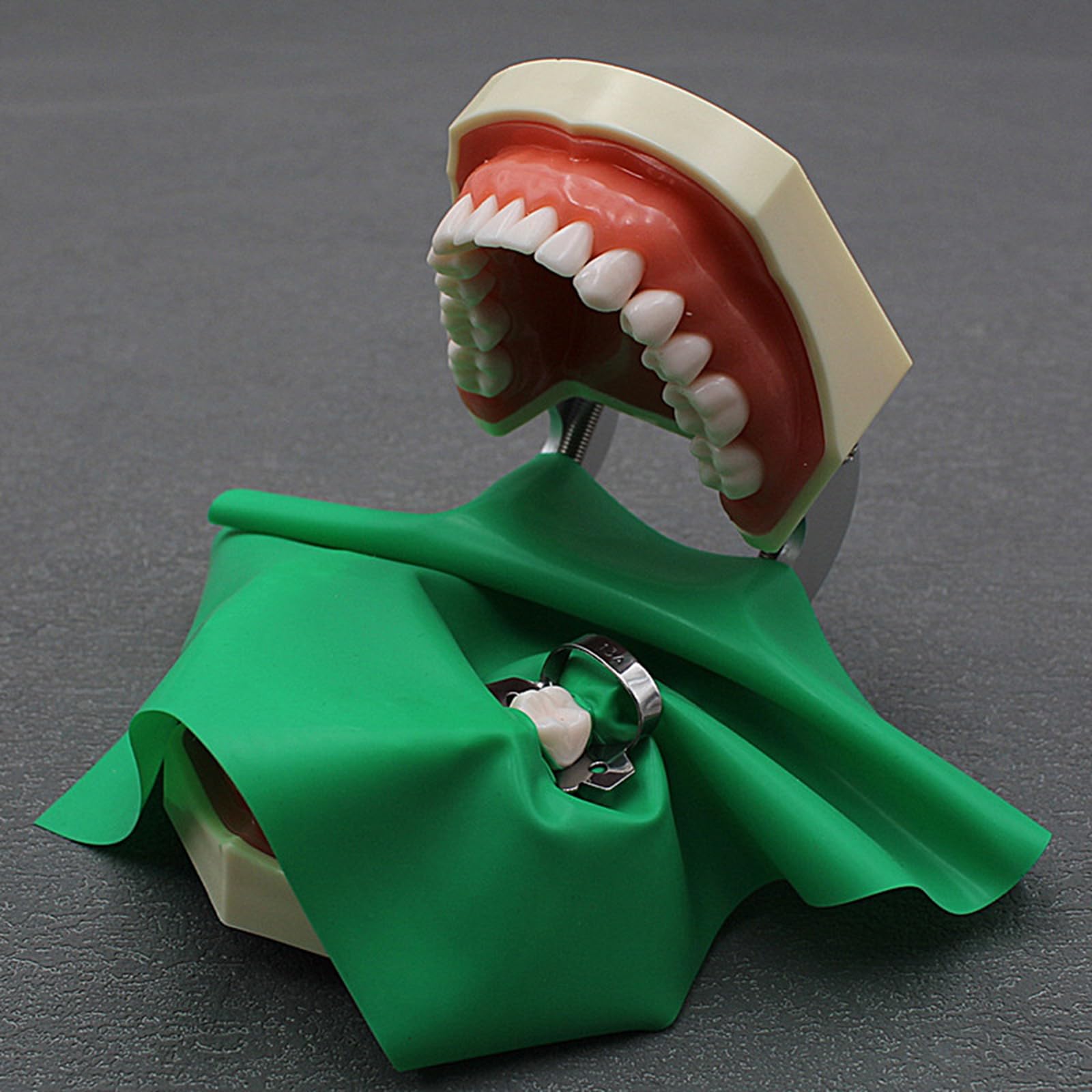 Kit diga in Gomma endodontica Dentale - Set di Strumenti per la Pratica della Scheda di punzonatura della diga in Gomma - per l'educazione scientifica all'esame Orale Dentale,B,25cm