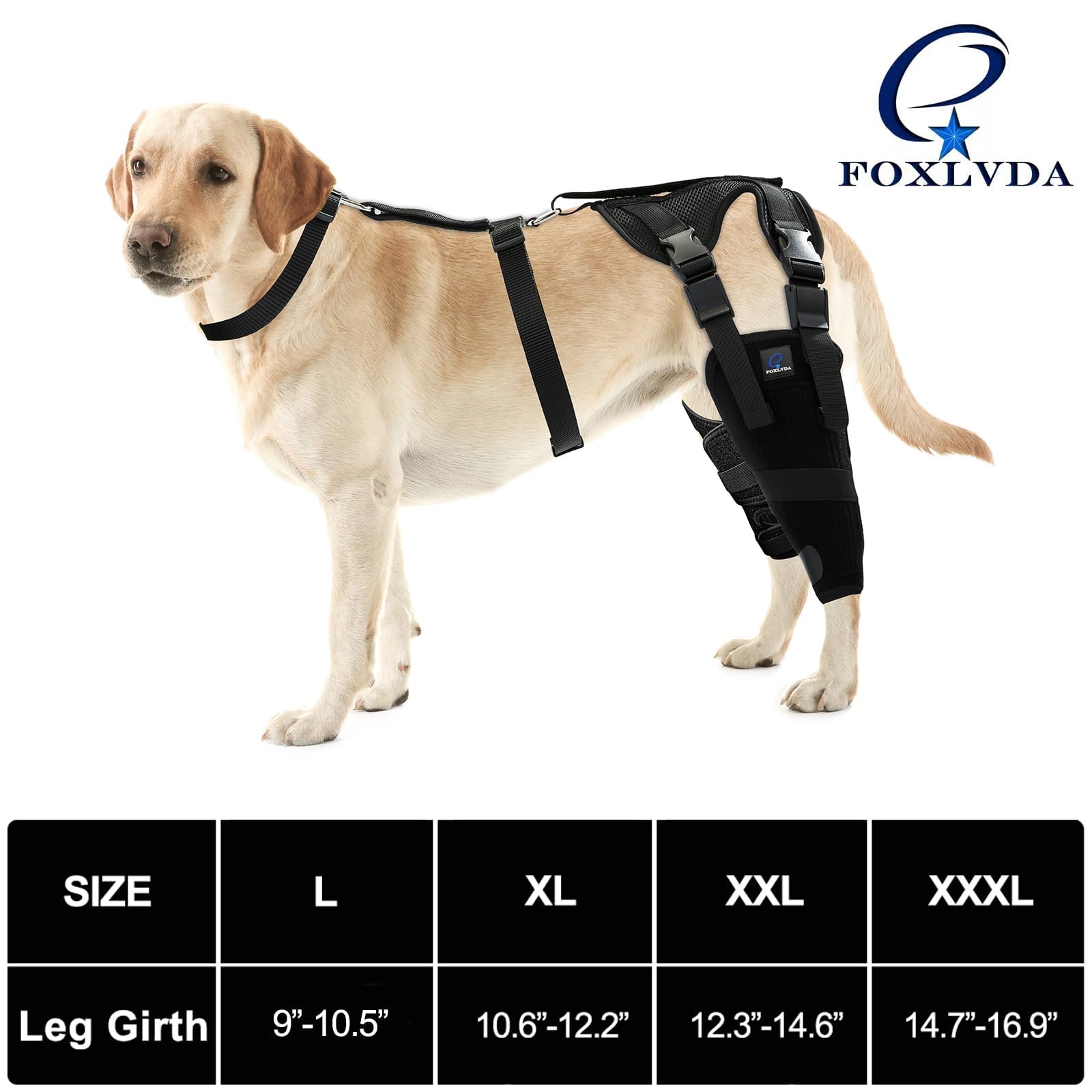FOXLVDA Double Dog Knee Brace, Support for Torn Acl Hind Leg, Luxating Patella, Reduces Arthritis Pain, with Side Stabilizers, Harness and Connection Belt, for Both Back Leg (XXL)