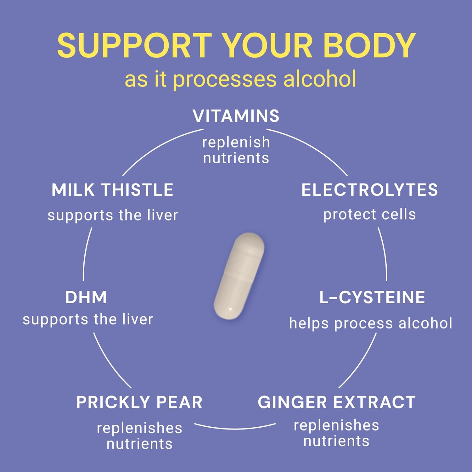 Blowfish Wingman | Feel Better After Drinking with DHM, L-Cysteine, & Electrolytes | Pre-Alcohol Liver Support & Hydration - Image 4