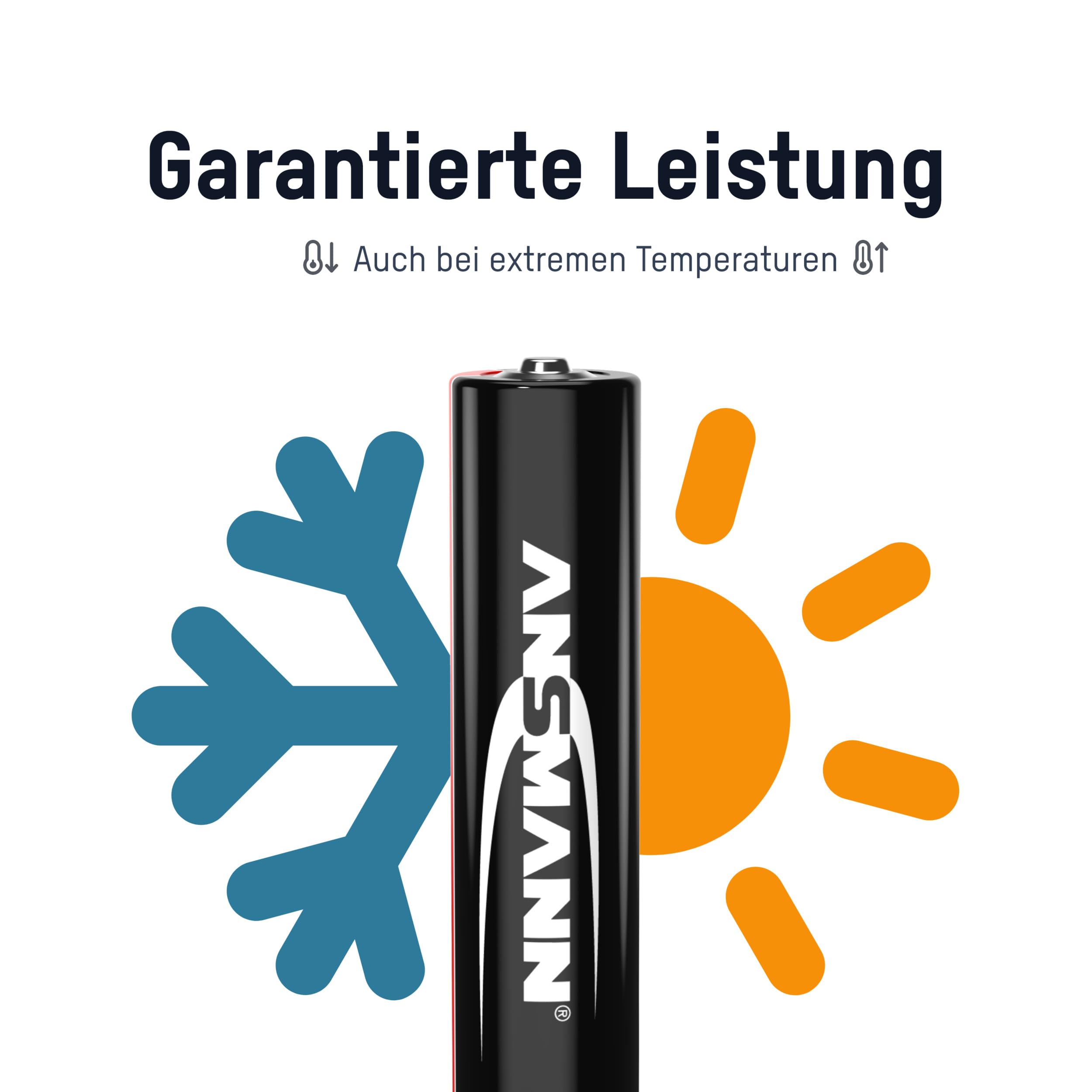 Ansmann Industrial Alkaline batteria Longlife alcaline batteria per alto potenza industriali (Confezione da 10)