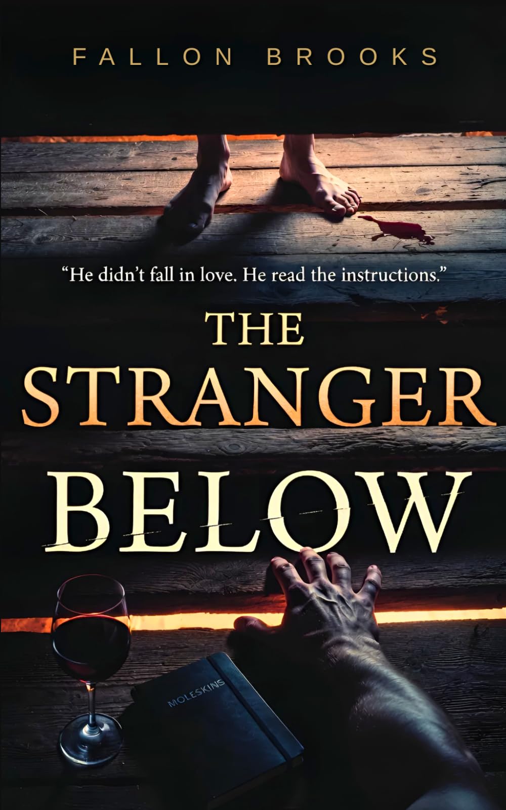 The Stranger Below: A Dark Romance Novel