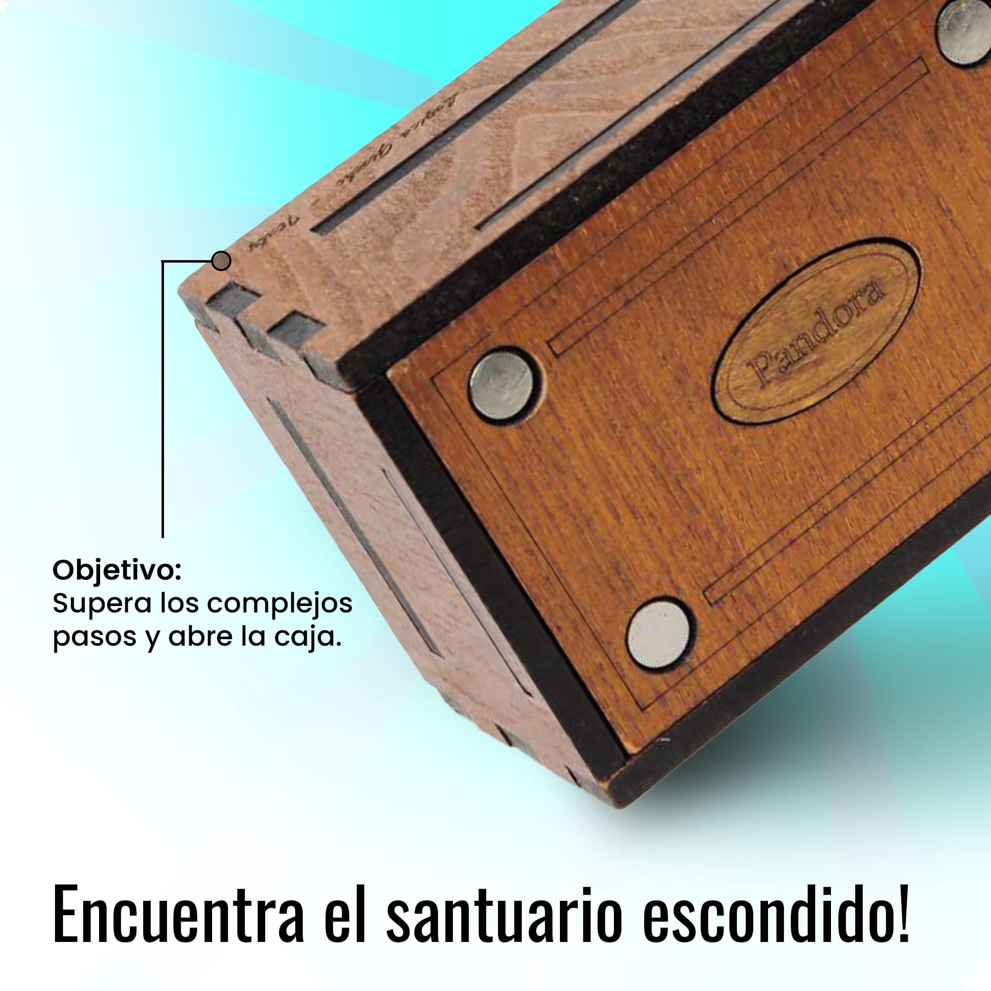 Logica Juegos Art. Pandora Box - El Cofre Secreto - Rompecabezas de Madera - Caja Secreta - Dificultad 5/6 Increíble - Colección Leonardo da Vinci