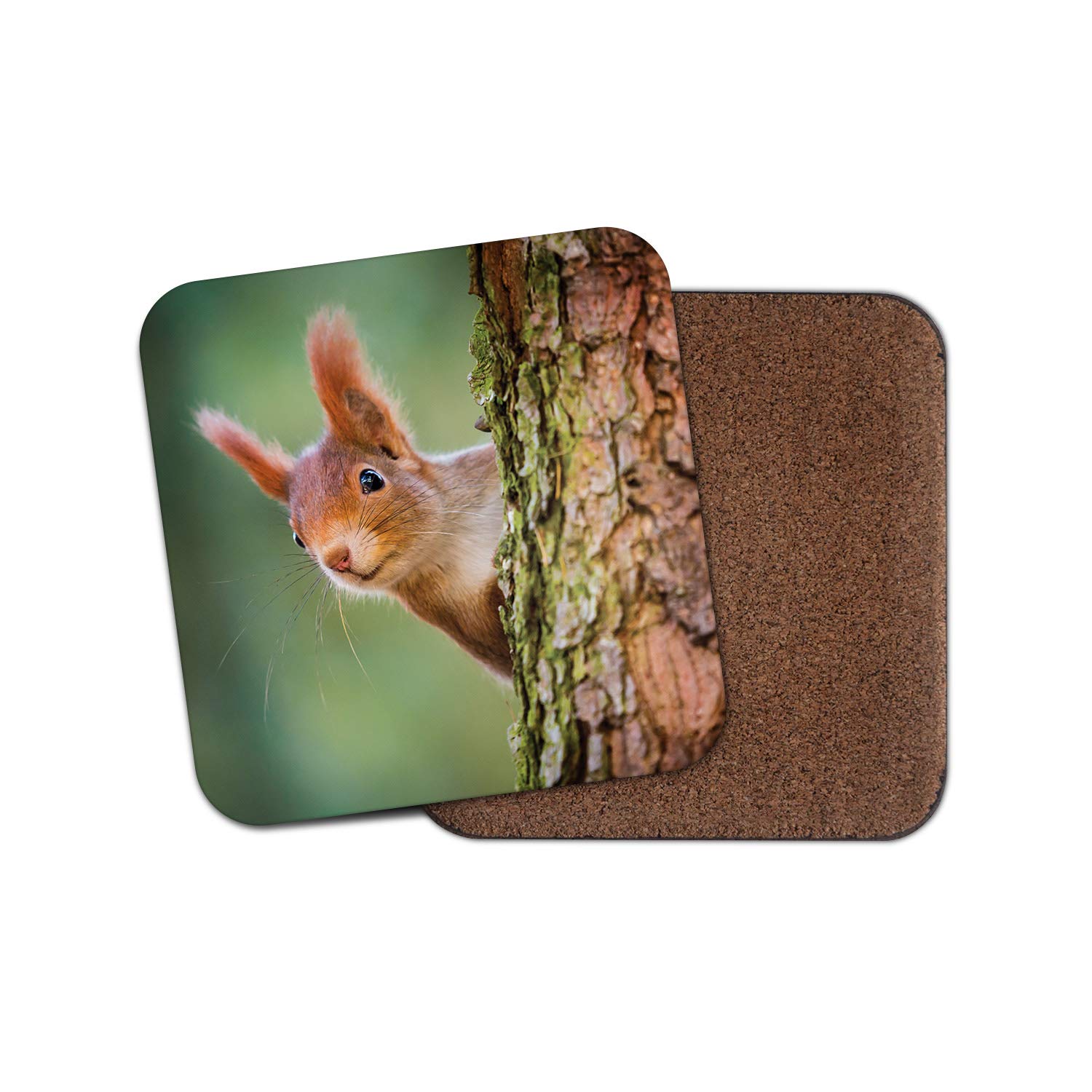 Destination Vinyl Ltd Multicolor 1 X Cute Red Squirrel Coaster - Nature Woods Forrest Animal Wild Kids #16883