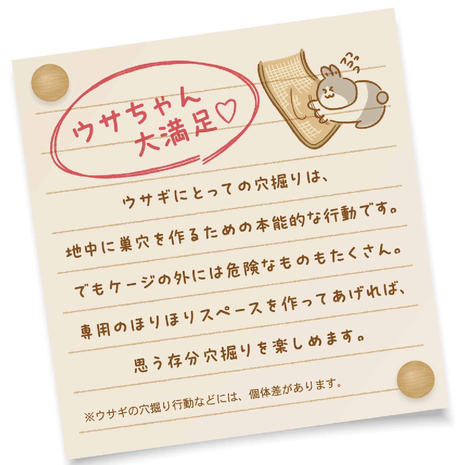 Amazon | ミニアニマン ウサギのナチュラルマットでほりほり ウサギ用