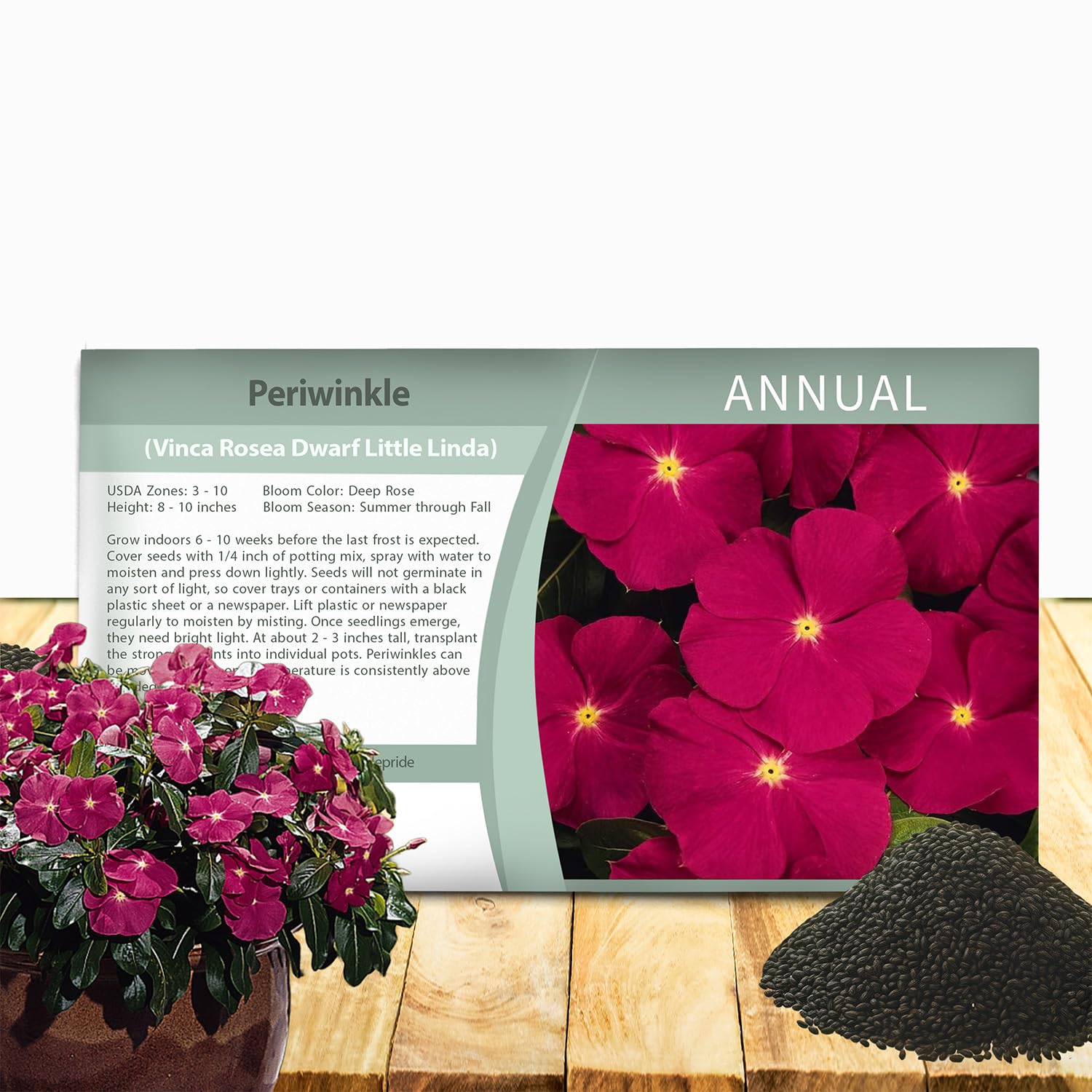 Outsidepride Rose Periwinkle Seeds for Planting – 2000 Pcs Annual, Fast-Blooming, Heat & Drought Tolerant Vinca Flower Seeds with Vibrant Colors Ideal for Gardens, Beds, Borders & Containers