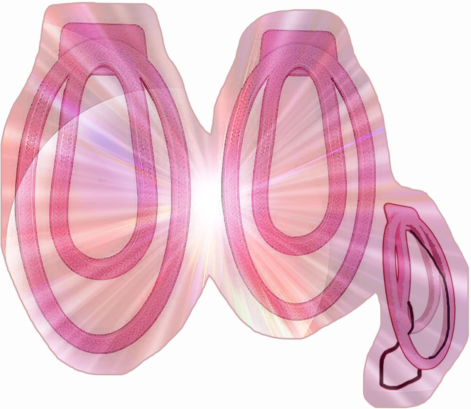 Male Portable Protection Clips, 2 Different Sizes Protection Cage Accessories for Men -HA2402 (Pink)