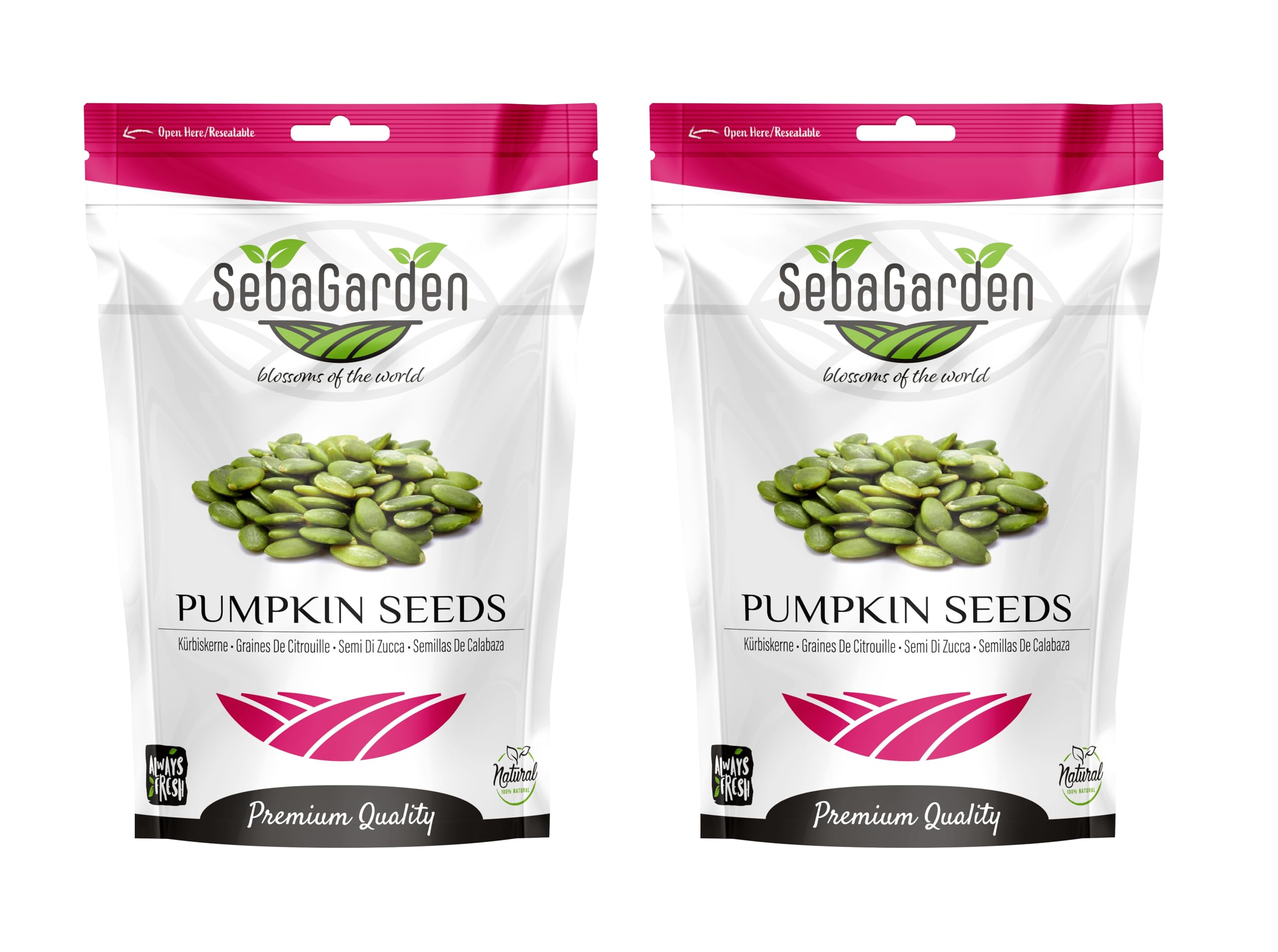 Seba Garden Kürbiskerne, 2Kg, Güteklasse AA, Rohproteinquelle, GWS (ohne Schale gewachsen), hoher Fasergehalt, Eisenquelle, gentechnikfrei (AA-Klasse)
