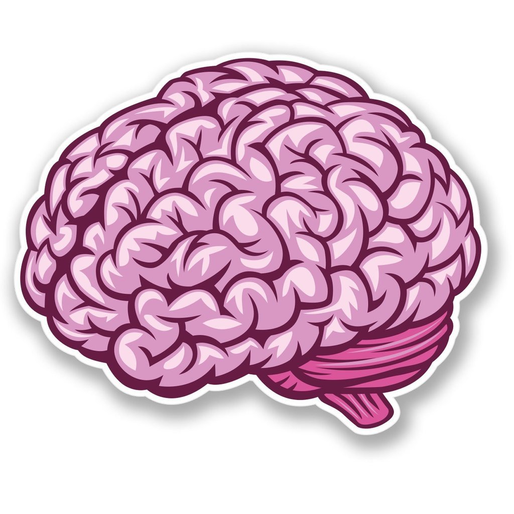 2 x 10cm/100mm Brain Vinyl Sticker Decal Laptop Travel Luggage Car Bike Sign Fun #4448
