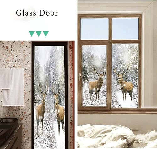 Película opaca para ventana de aire de bosque natural, ciervos, campo occidental, invierno, bosque, vida silvestre, ciervo, alce, ciervo, película