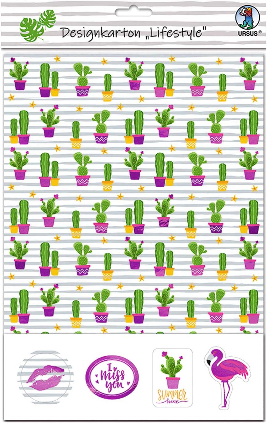 URSUS Lifestyle Cardboard Set of 5 Sheets 220 g/m² Assorted in 5 Designs A4 Printed on One Side and Partially Finished with 20 Thematically Coordinated Stickers, DIN, Colourful