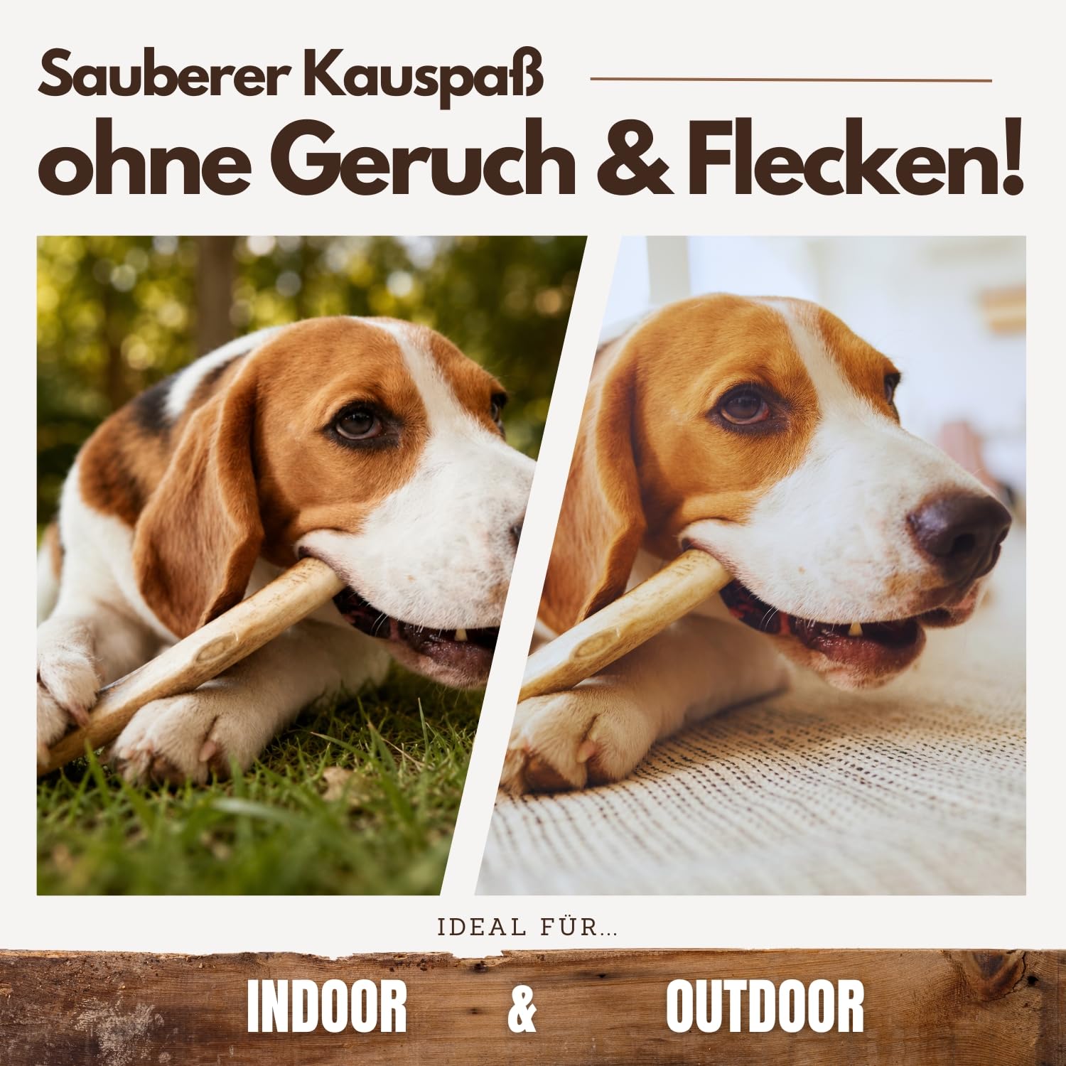 PetLove Drewno do kawy dla psów • drewno do żucia dla psa jako zabawka dla psa i pielęgnacja zębów • drewniane kości dla psa • bez kofeiny • rozmiar: XL - z oliwą z oliwek • dla dużych psów