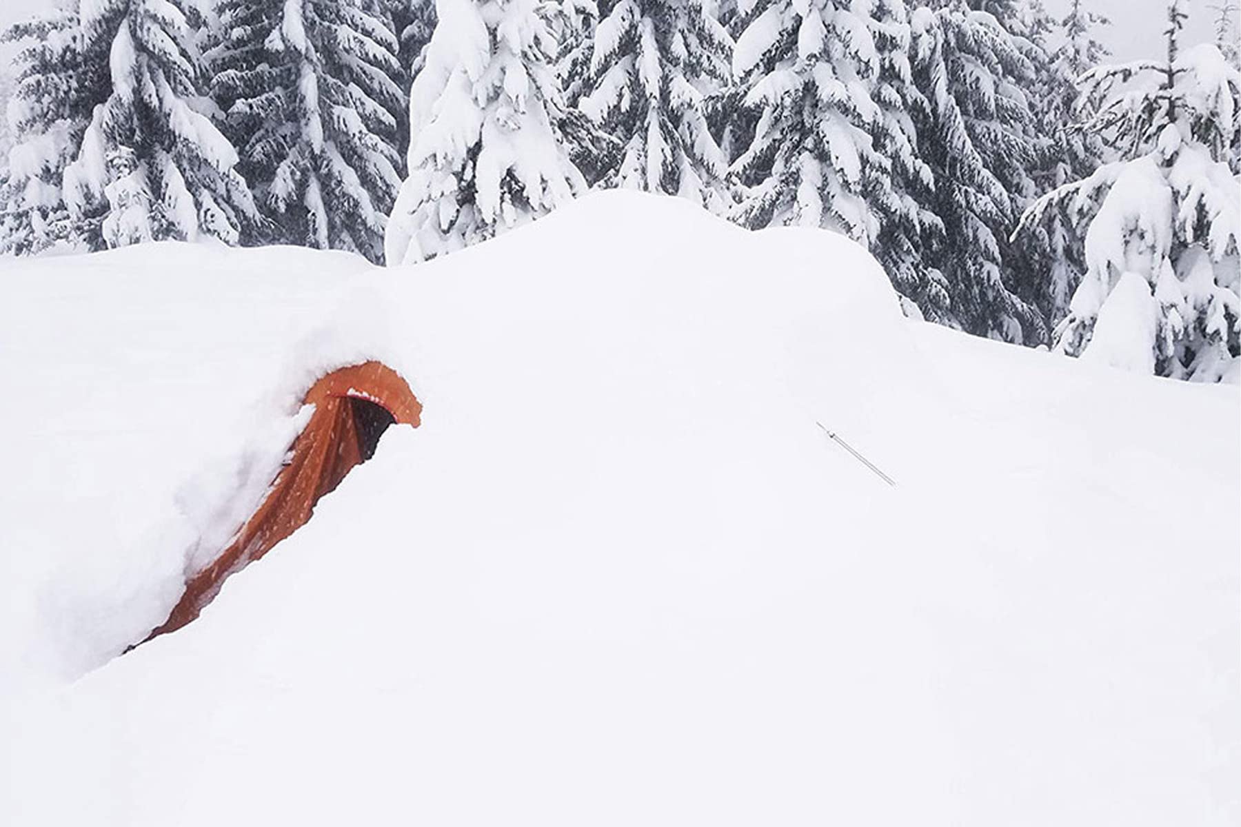 Amazon.co.jp: アルプスマウンテニアリング(Alps Mountaineering