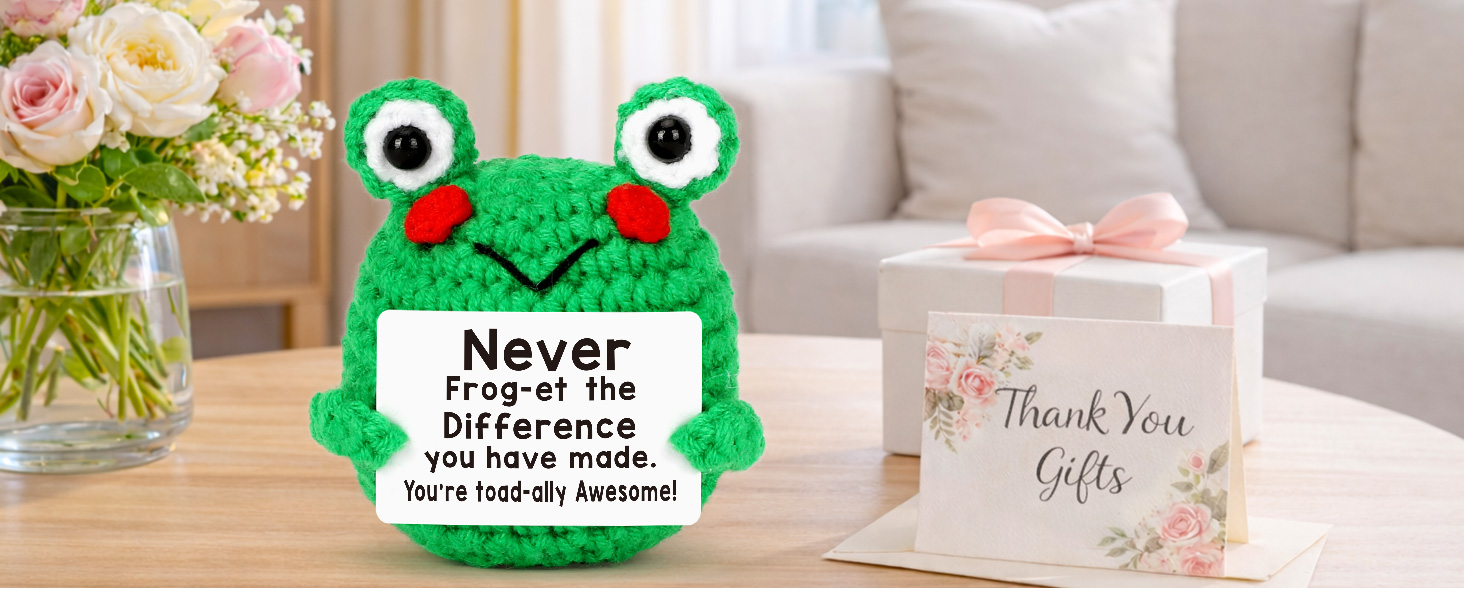 Teacher Appreciation Gifts - Thank You Gifts for Teachers Nurse Boss Coworker Employee Appreciation Gift Administrative Assistant, Cute Crochet Frog Gift Graduation Teacher's Day Retirement Farewell
