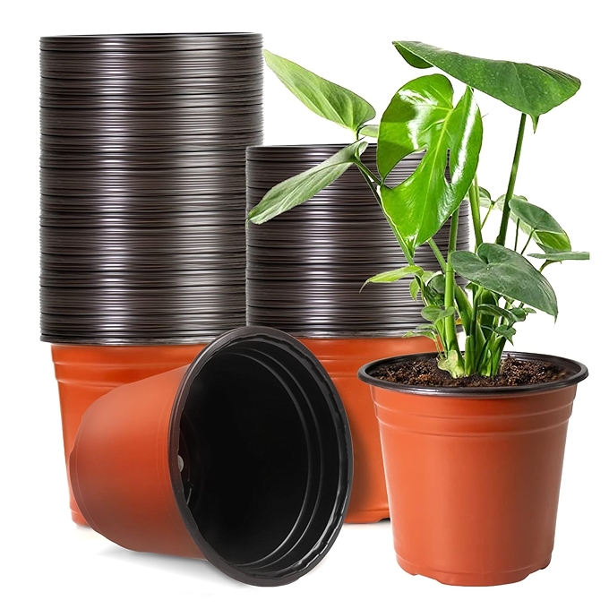 PEYOU 6英寸塑料育苗盆 50个装、带排水孔的花卉种植容器