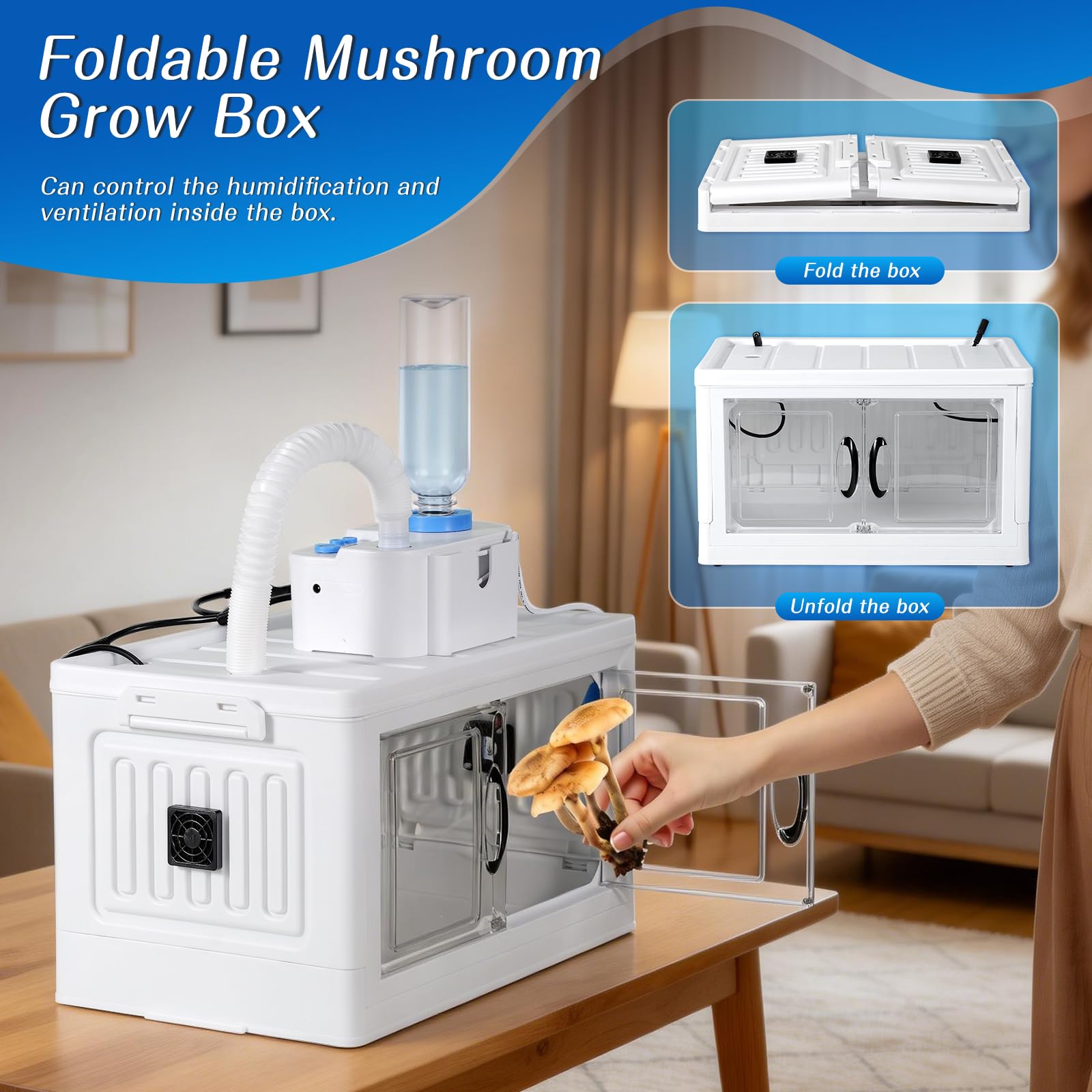 Boîte de culture de champignons avec affichage de l'humidité - Kit de pépinière de champignons - Kit de pépinière de champignons abordable pour champignons d'intérieur