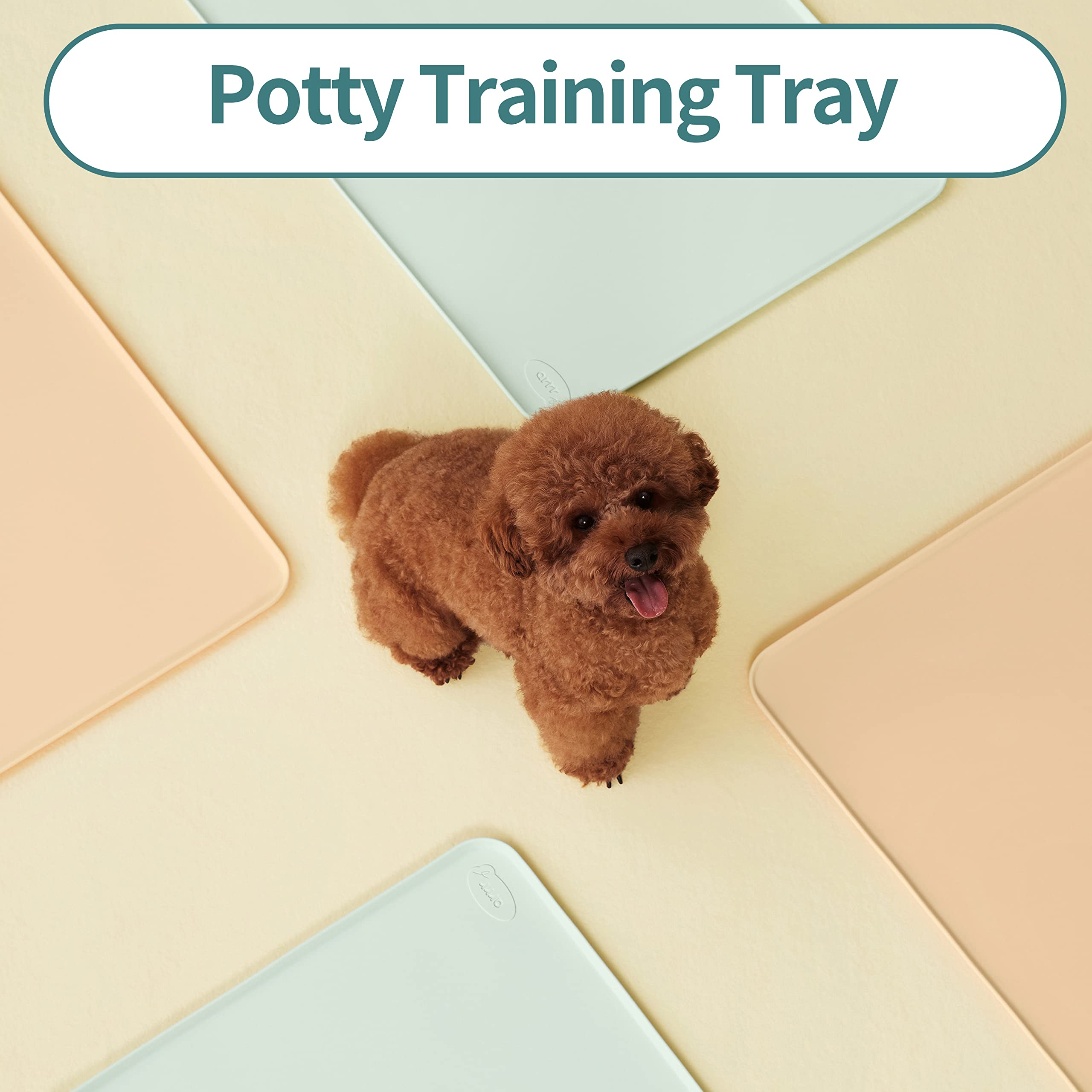 How To Properly Potty Train A Miniature Poodle Puppy