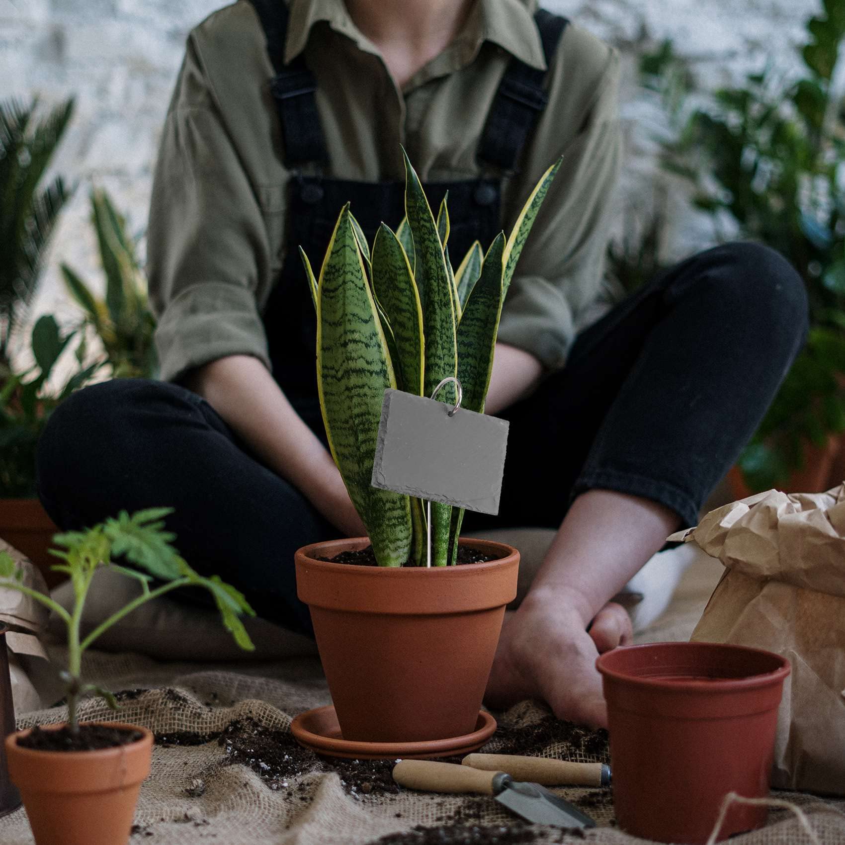 ÉTiquettes de Plantes en Ardoise Marqueurs de Plantes de Jardin ÉTiquettes Accessoires de Serre Piquets de Jardin, 15PièCes SéRies