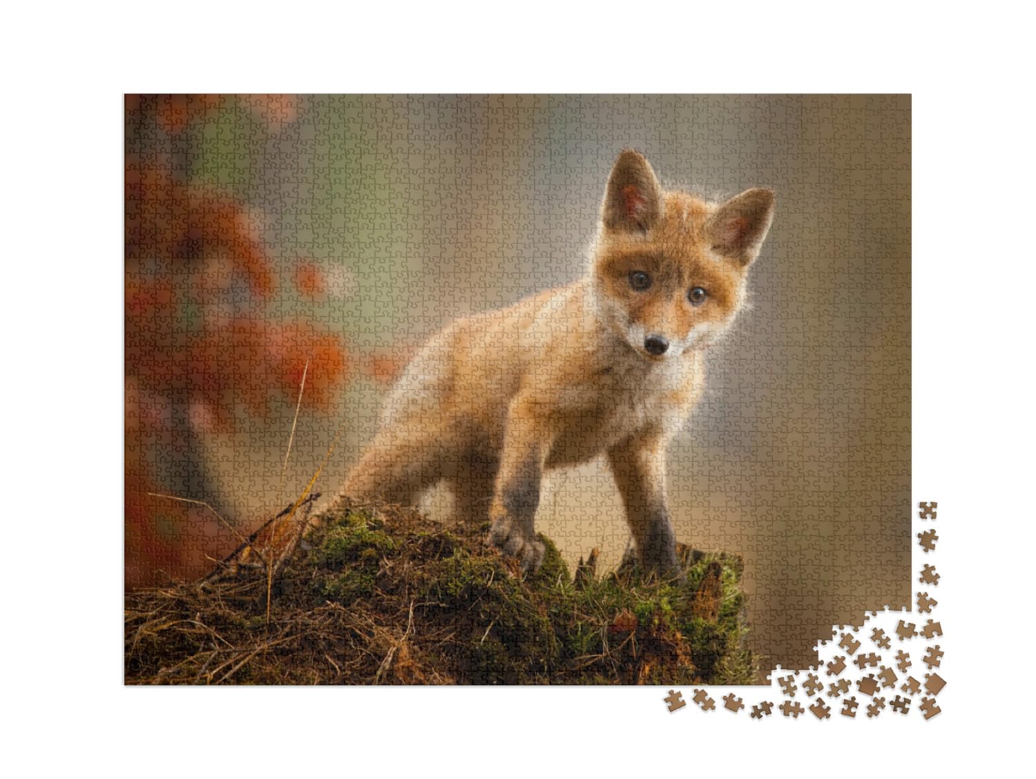 puzzleYOU: Puzzle 2000 Teile „EIN junger Fuchs“ – aus der Puzzle-Kollektion Tiere, Füchse, Tiere in Wald & Gebirge