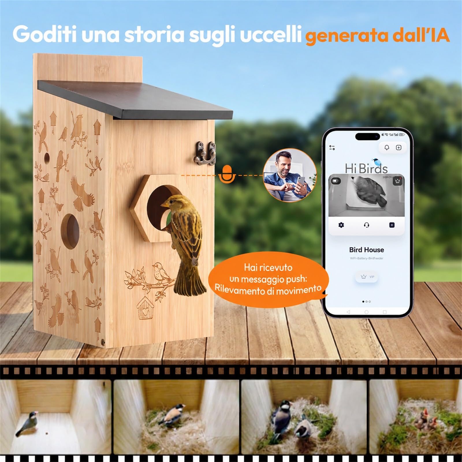 Casetta per Uccelli con Fotocamera Solare 5MP, Contenitore per Uccelli per Esterni, 2,4G WiFi e Notifica APP, Registrazione Video/Foto e Rilevamento del Movimento, Osservare la Vita Degli Uccelli, B