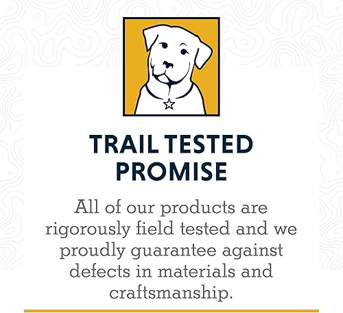 Miniatura 8 de Ruffwear, Web Reaction - Collar para perro, collar de martingala para caminar en la correa, verde roca río, 11 a 14 pulgadas