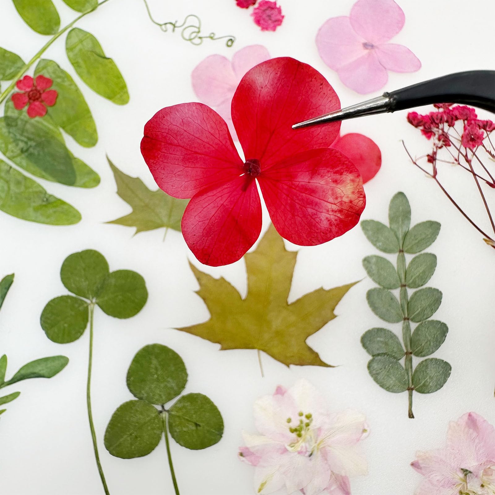 Cayway 82 PCS Natural Dried Pressed Flowers Leaves Glitter And Accessories Kit With Tweezers, Scissors For DIY Candle Resin Jewelry Nail Pendant Crafts Art Floral Decoration