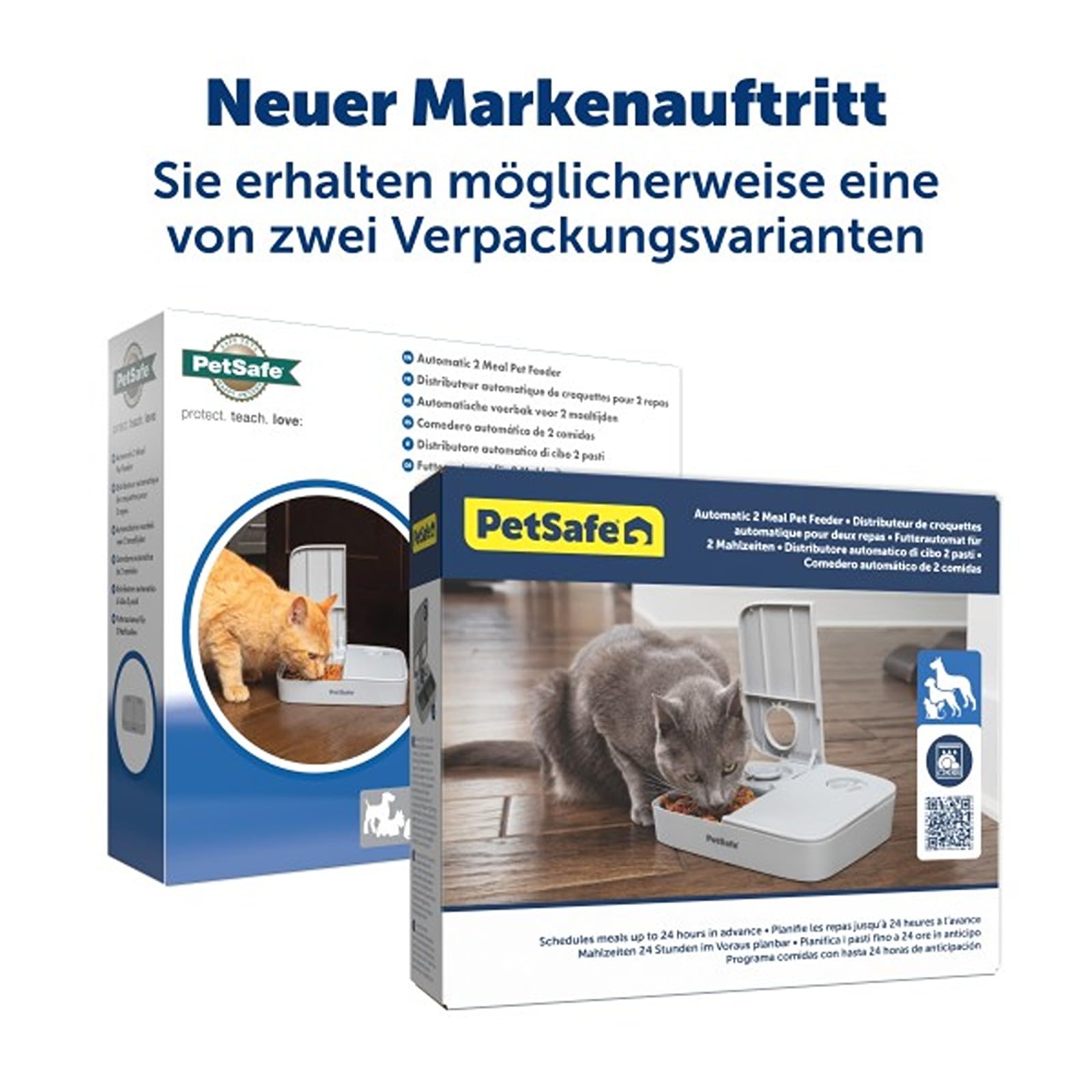 PetSafe Futterautomat für 2 Mahlzeiten, Haustiersicheres Design, Für trockenes Hunde und Katzenfutter, Grau, 1 Stück (1er Pack).