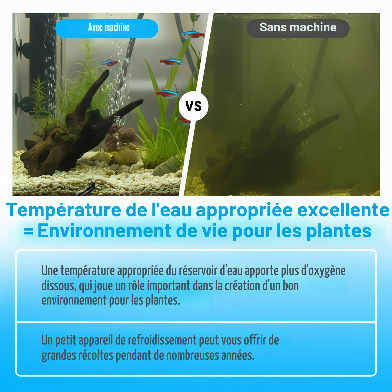 Refroidisseur D'aquarium 160L, Refroidisseur Aquarium Silencieux Adapté Aux Plantes Aquatiques D'aquarium Méduses Plantes Aquatiques d'eau Douce/Eau Salée, avec Pompe, Tuyau et Anneau de Fixation