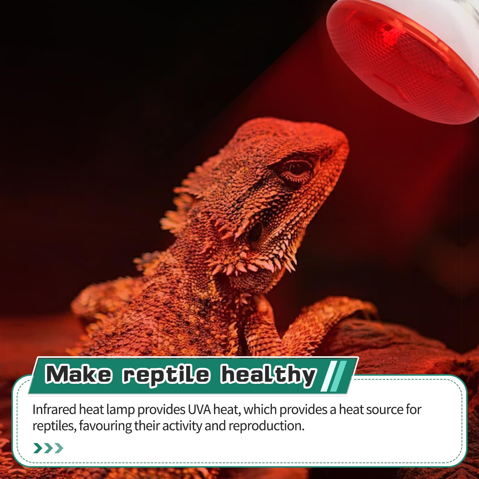 Houtokit Infrared Heat Lamp Bulb - Image 3