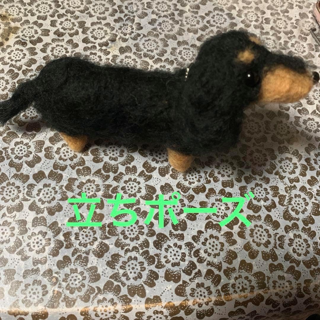 羊毛フェルト ミニチュアダックスフンド momoichigo