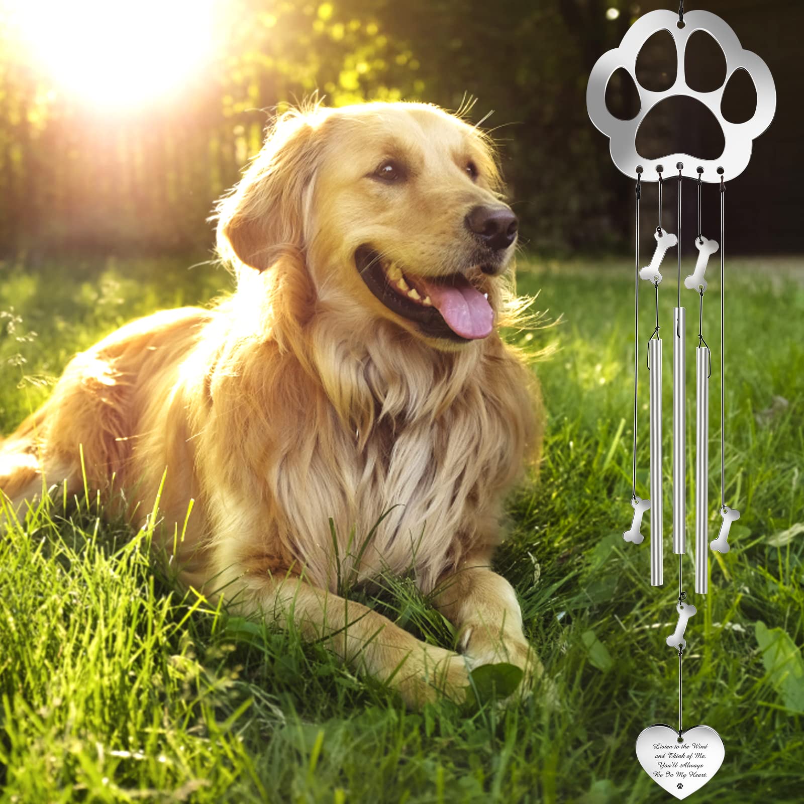 What Can I Give My Dog For Wind