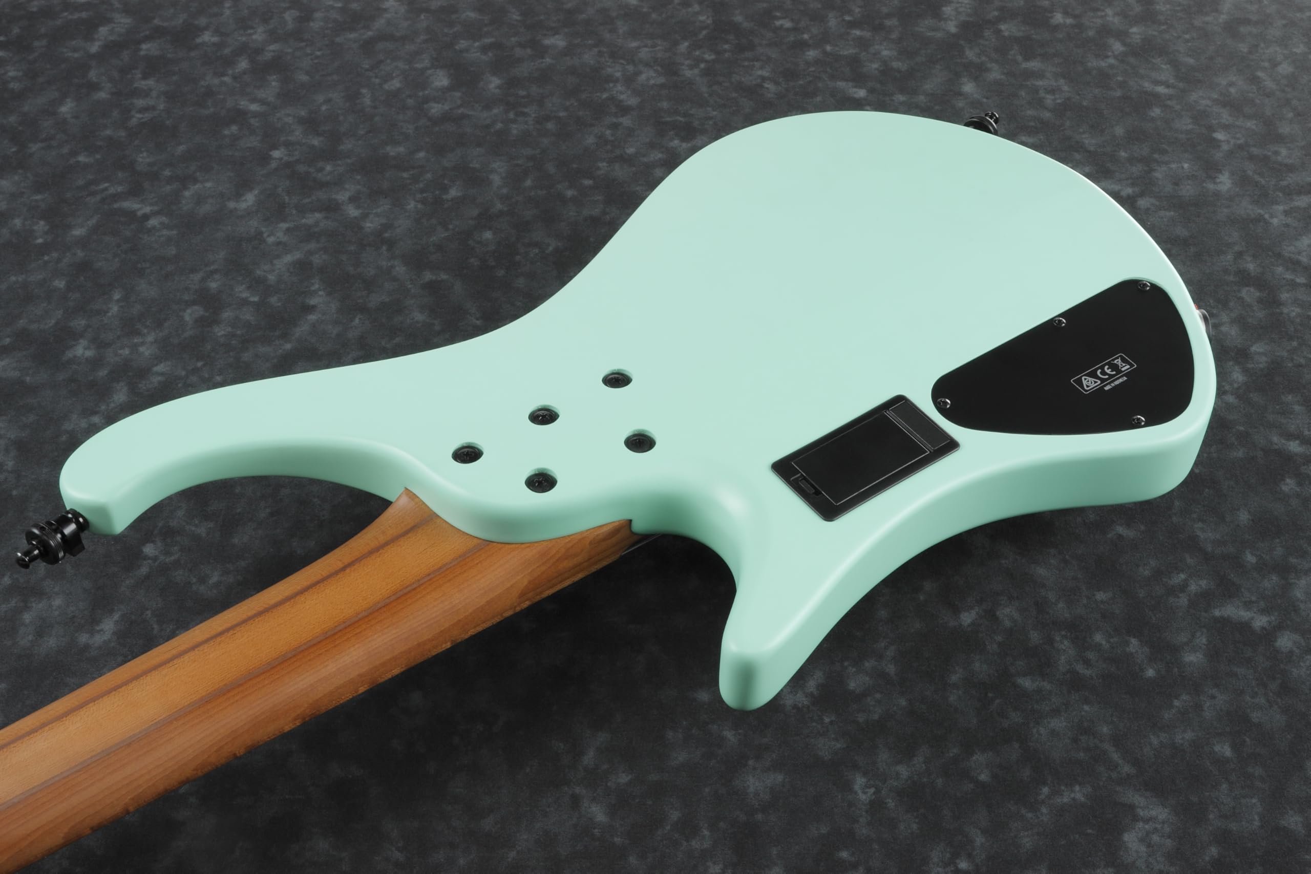 Amazon.com: Ibanez Bass Workshop EHB1005MS Bass Guitar - Sea Foam
