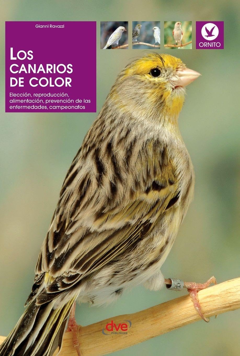 Los canarios de color: Elección, reproducción, alimentación, prevención de las enfermedades, campeonatos