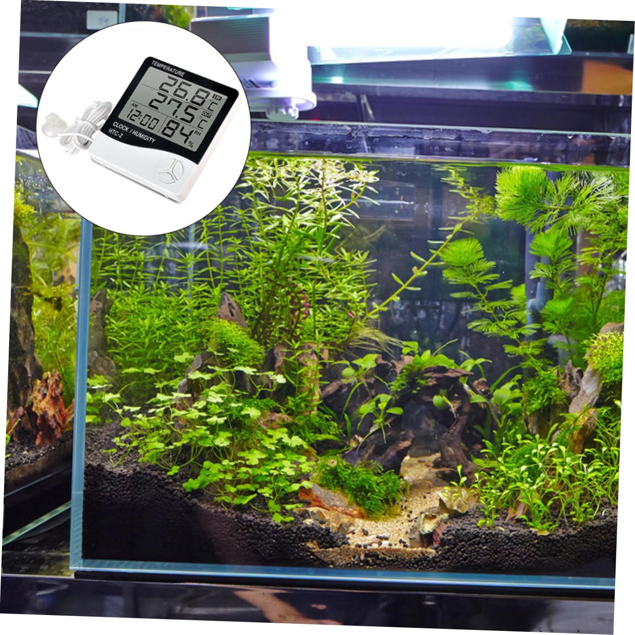 BESPORTBLE 3pièces Thermomètre Numérique Lcd Avec Hygromètre Intégré Pour Aquariums Et Terrariums Mesure De Température Et Humidité Réel Affichage Et Fonction Horloge Modèle Pile