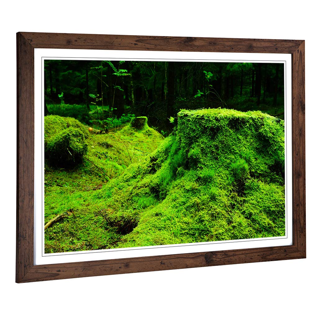 Big Box Art Framed Print of Landscape Forest Moss Norway Design | Wall Art Picture | Home Decor for Kitchen, Living, Dining Room, Bedroom, Hallway, Office, Walnut, A2 / 24.5x18 Inch / 62x45cm